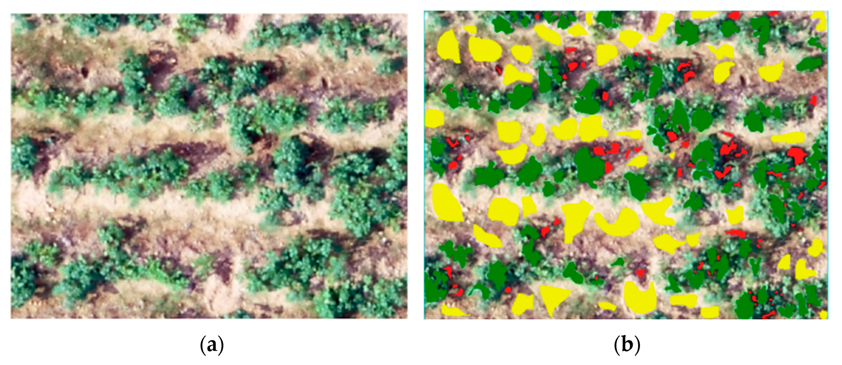 Remotesensing 17 03246 g003