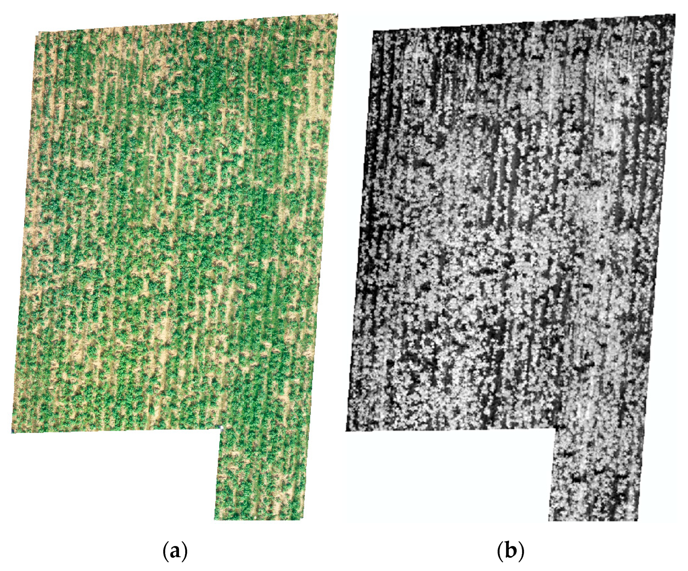 Remotesensing 17 03246 g006