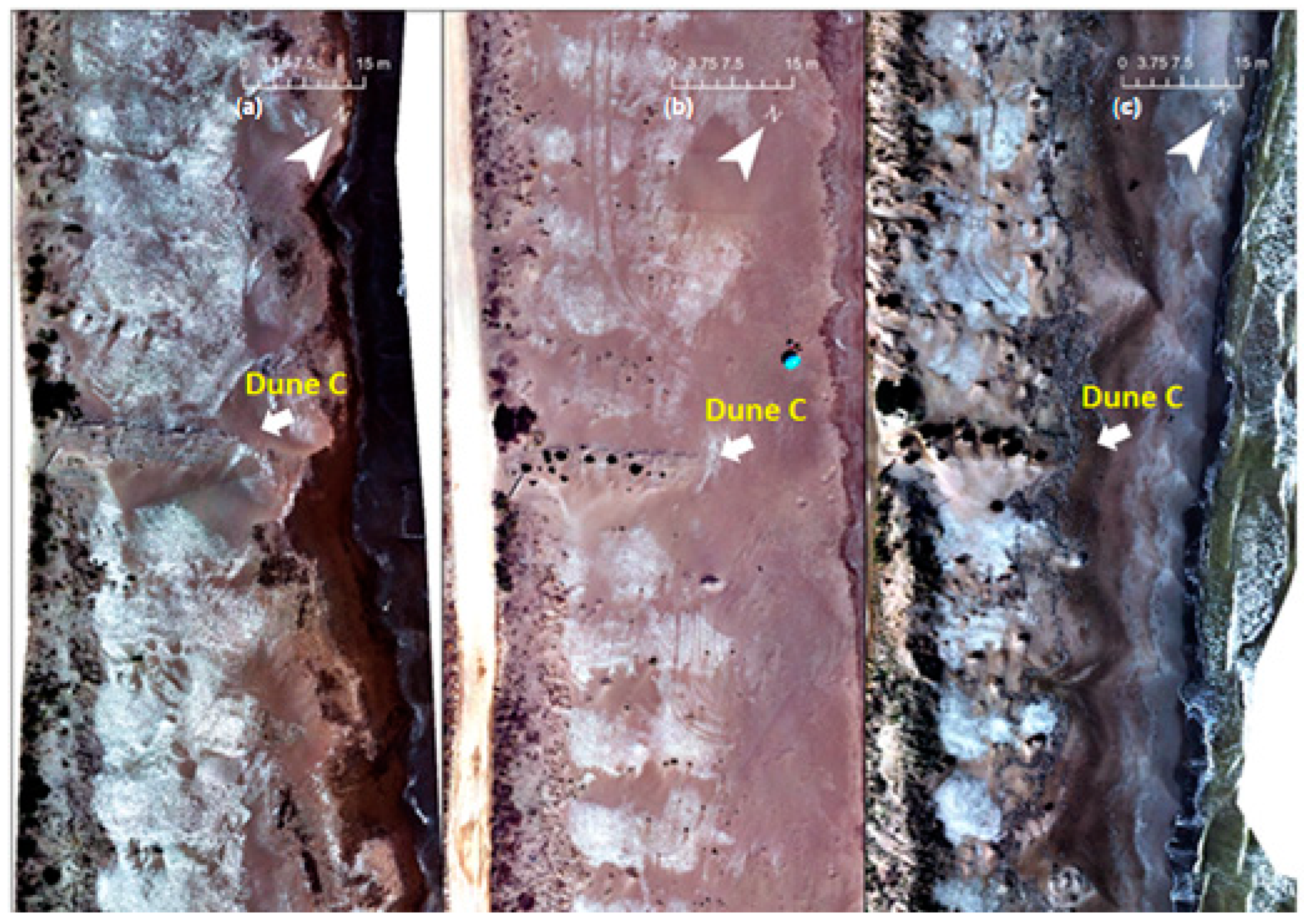 Remotesensing 17 03263 g012 Remotesensing 17 03263 g012