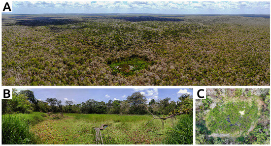 Remotesensing 17 03299 g003