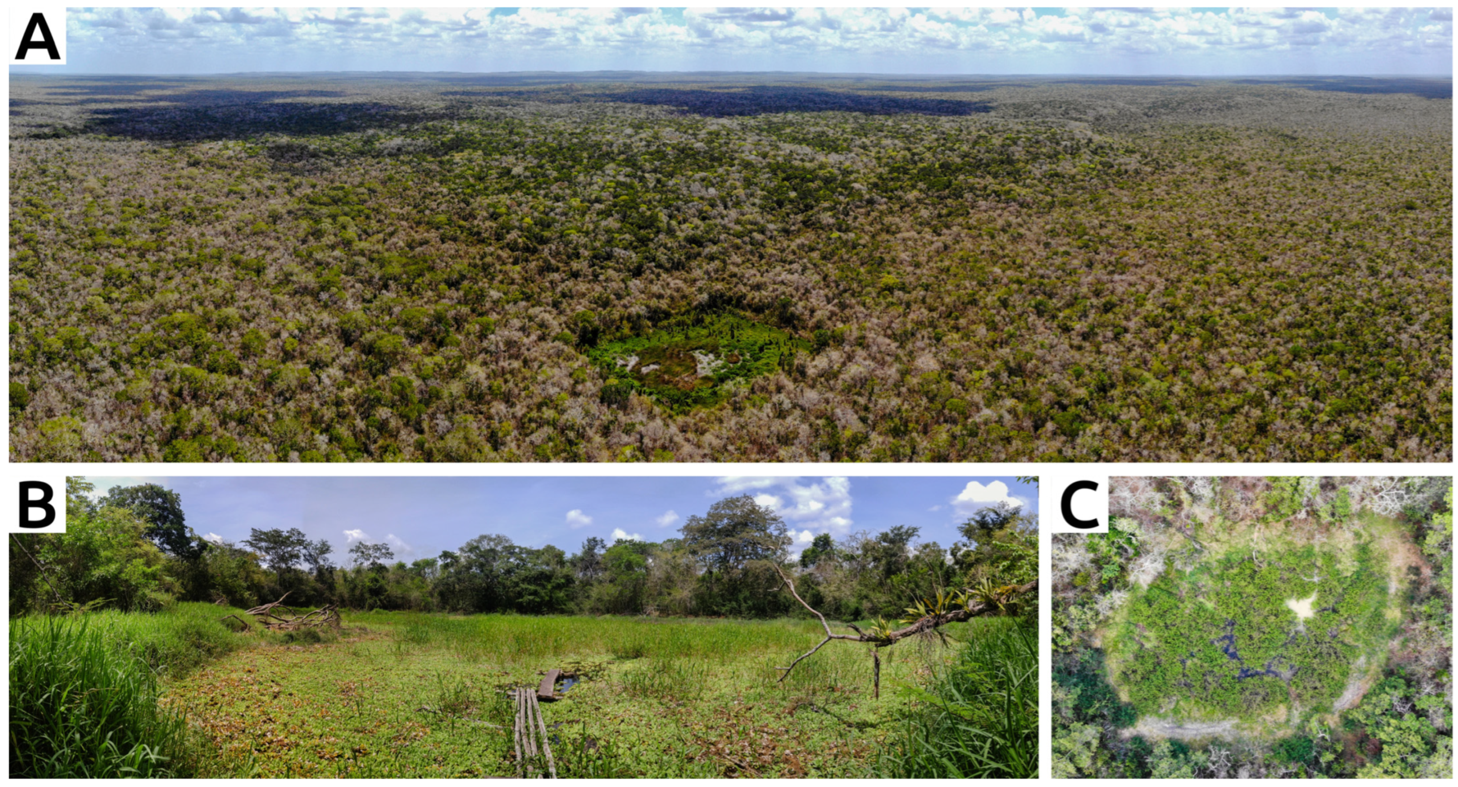 Remotesensing 17 03299 g003