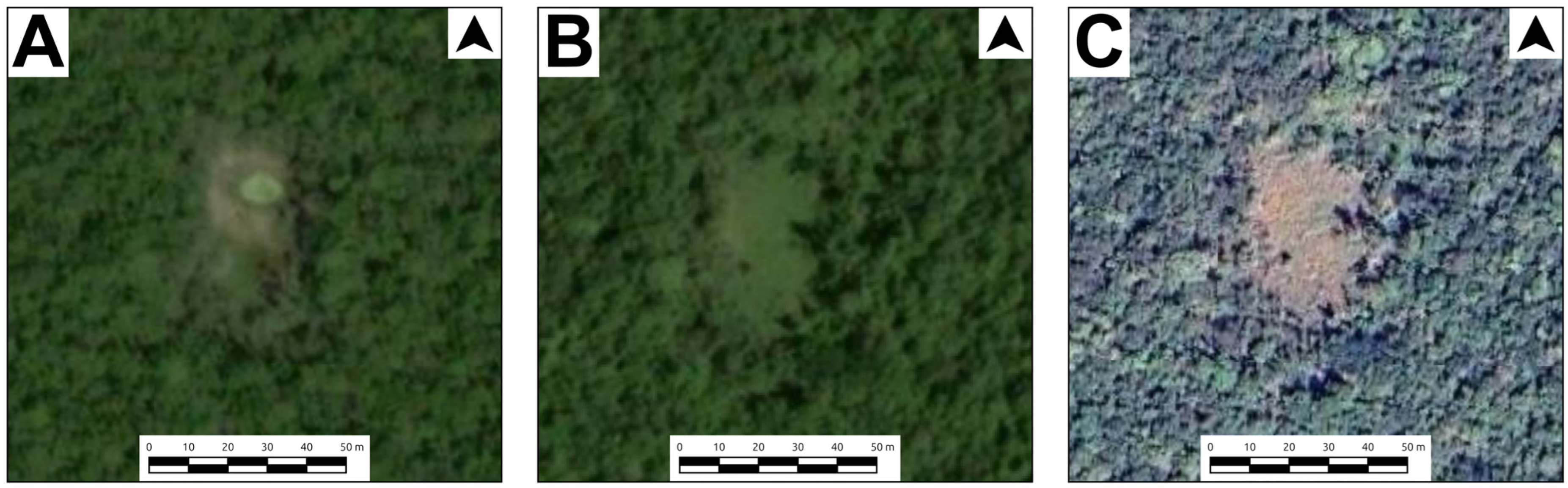 Remotesensing 17 03299 g007