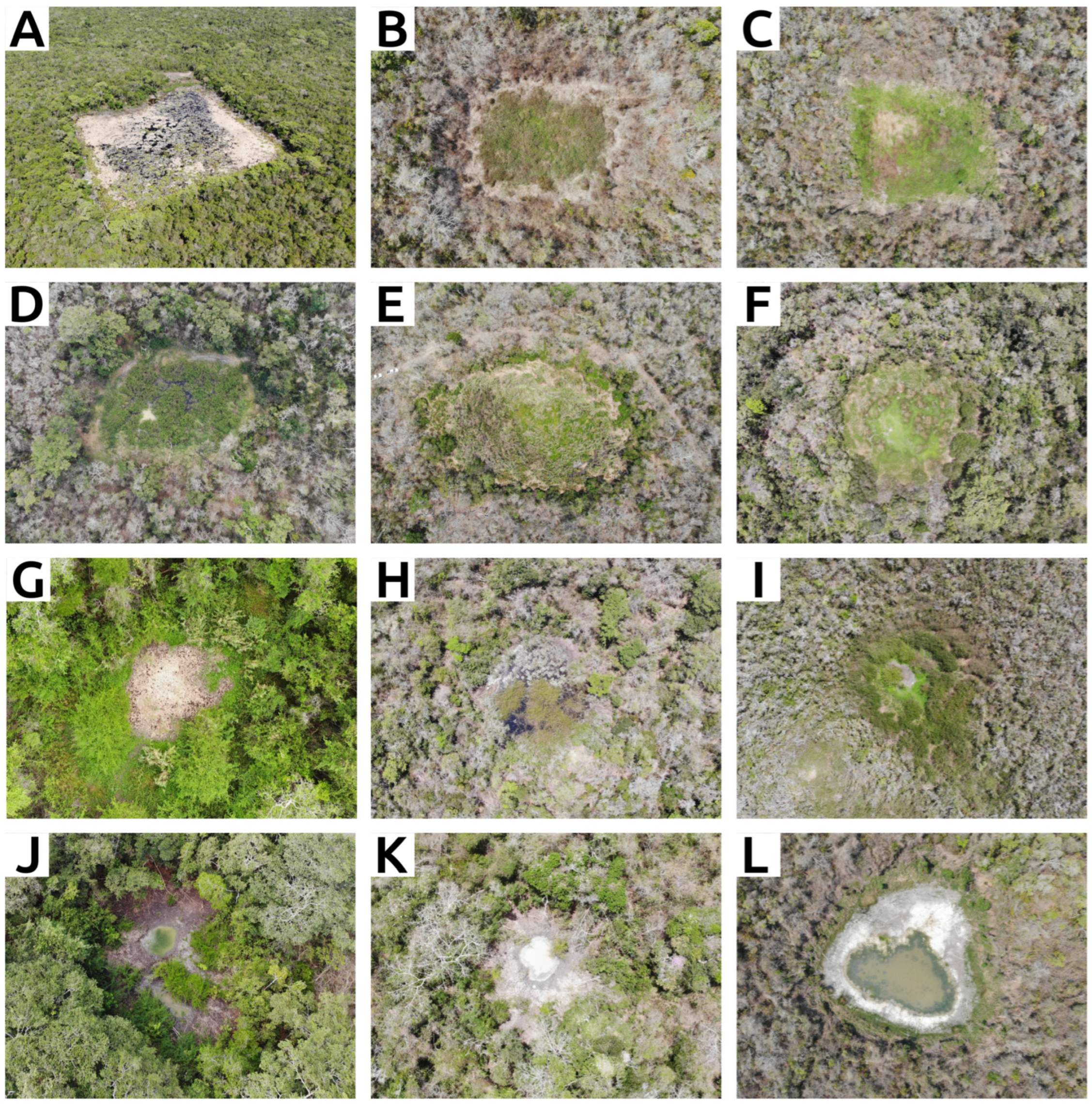 Remotesensing 17 03299 g020