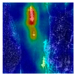 Remotesensing 17 03301 i008