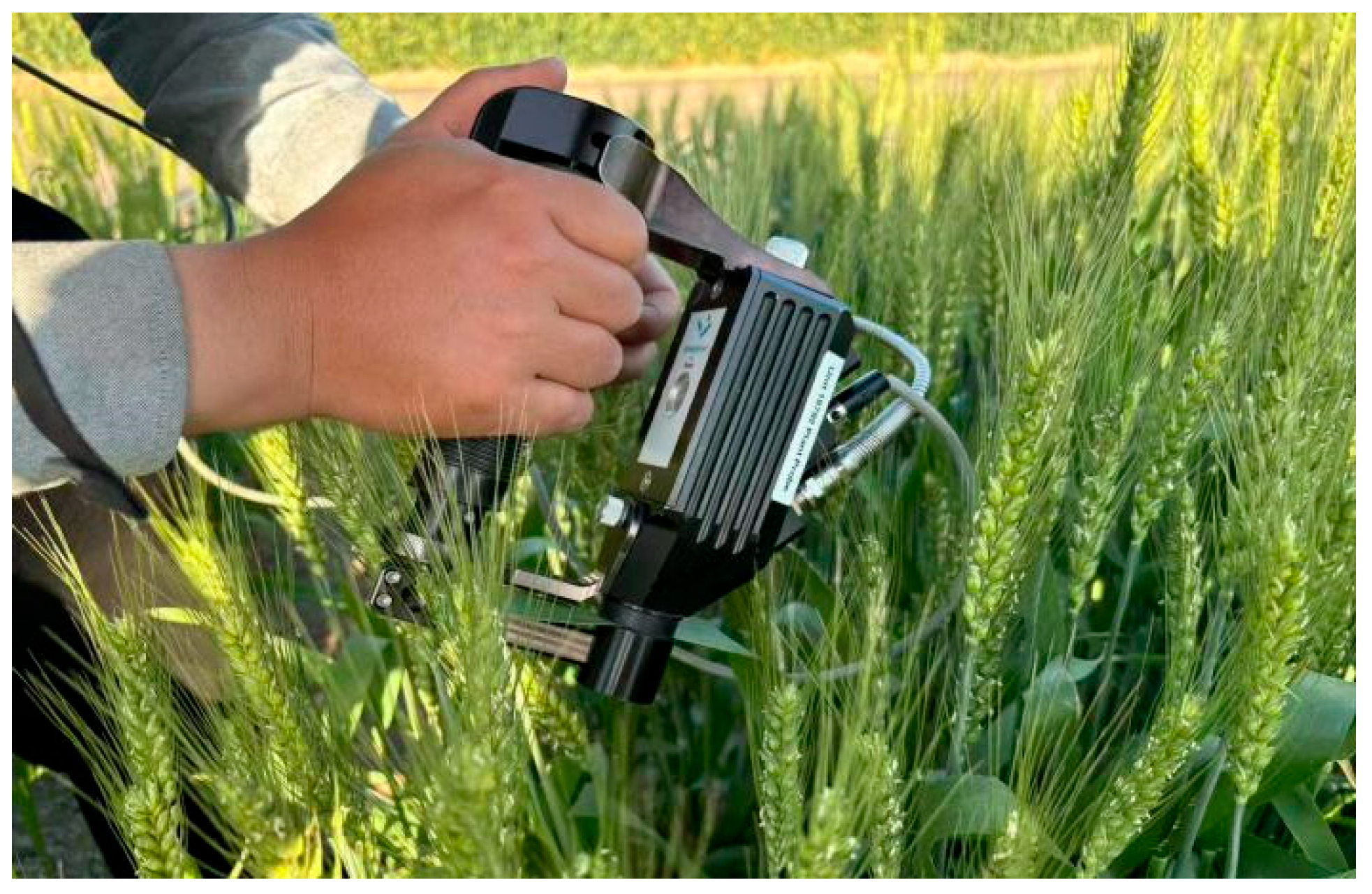 Remotesensing 17 03304 g001 Remotesensing 17 03304 g001