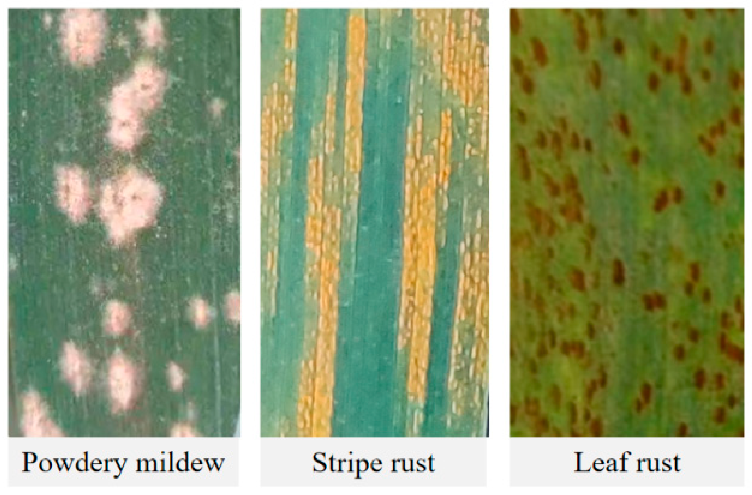 Remotesensing 17 03304 g002 Remotesensing 17 03304 g002