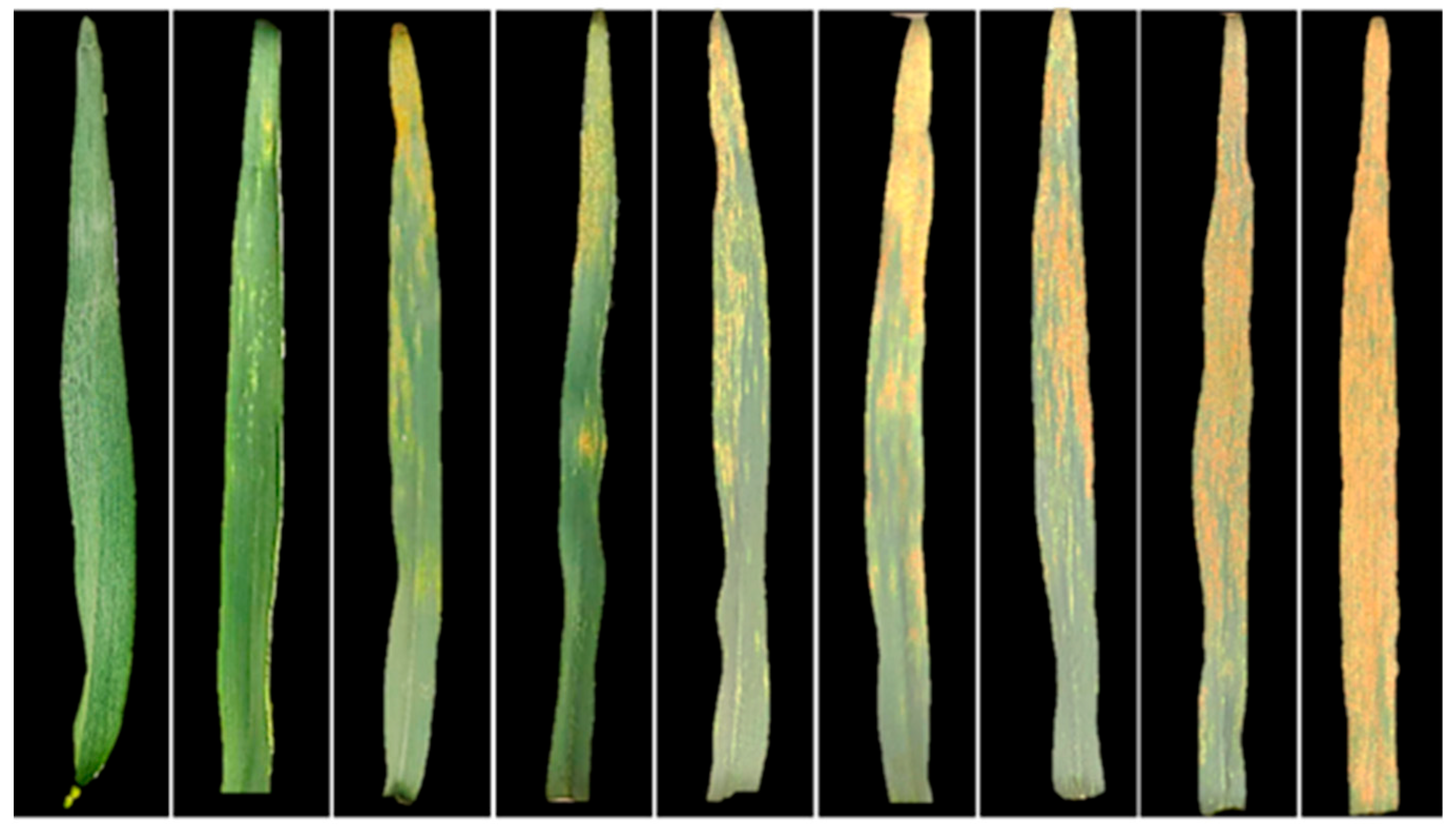 Remotesensing 17 03304 g003 Remotesensing 17 03304 g003