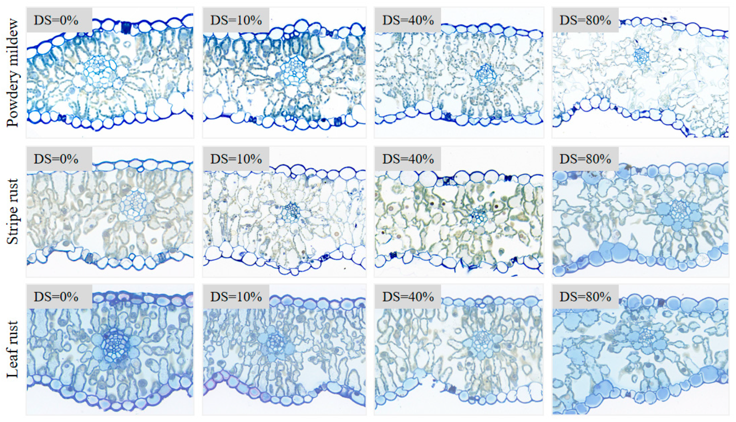Remotesensing 17 03304 g012 Remotesensing 17 03304 g012