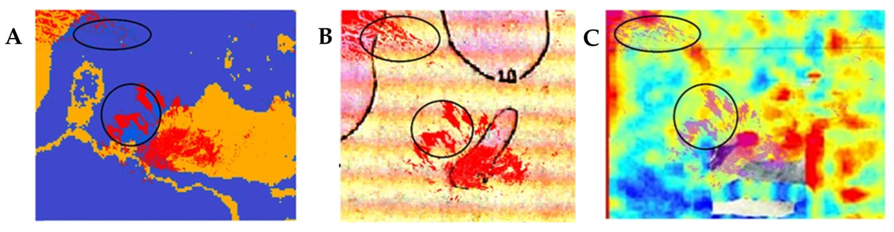 Remotesensing 17 03331 g023