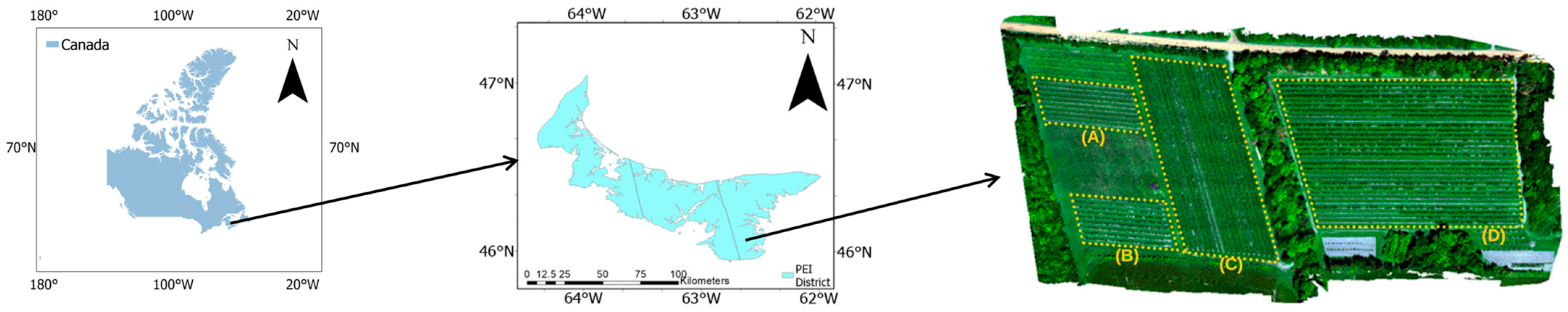 Remotesensing 17 03369 g001 Remotesensing 17 03369 g001