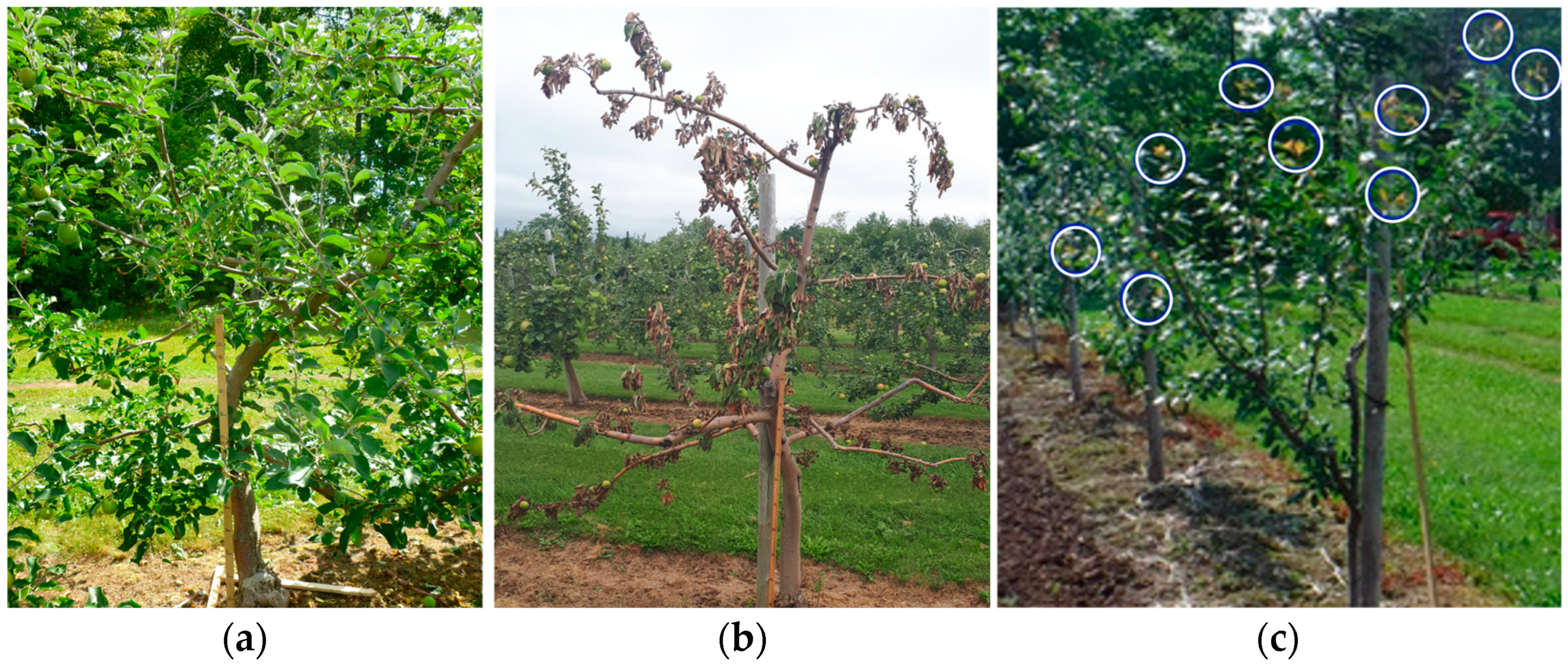 Remotesensing 17 03369 g004 Remotesensing 17 03369 g004