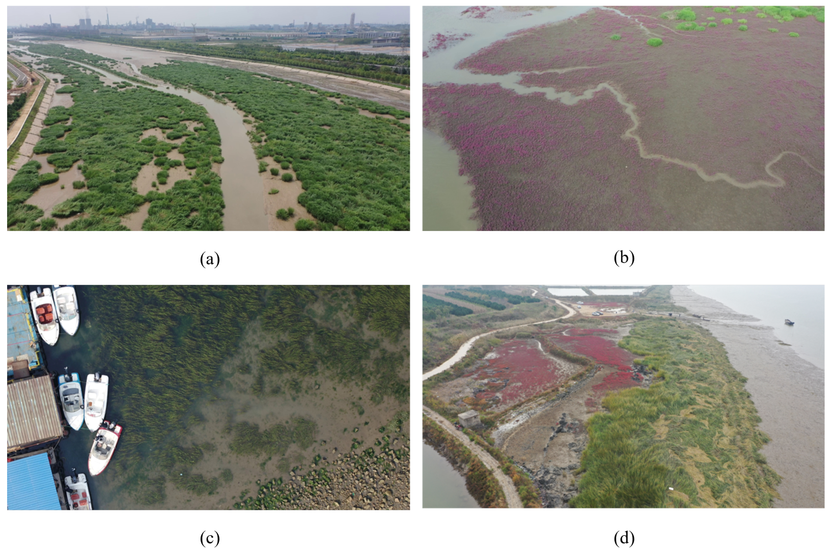 Remotesensing 17 03404 g001