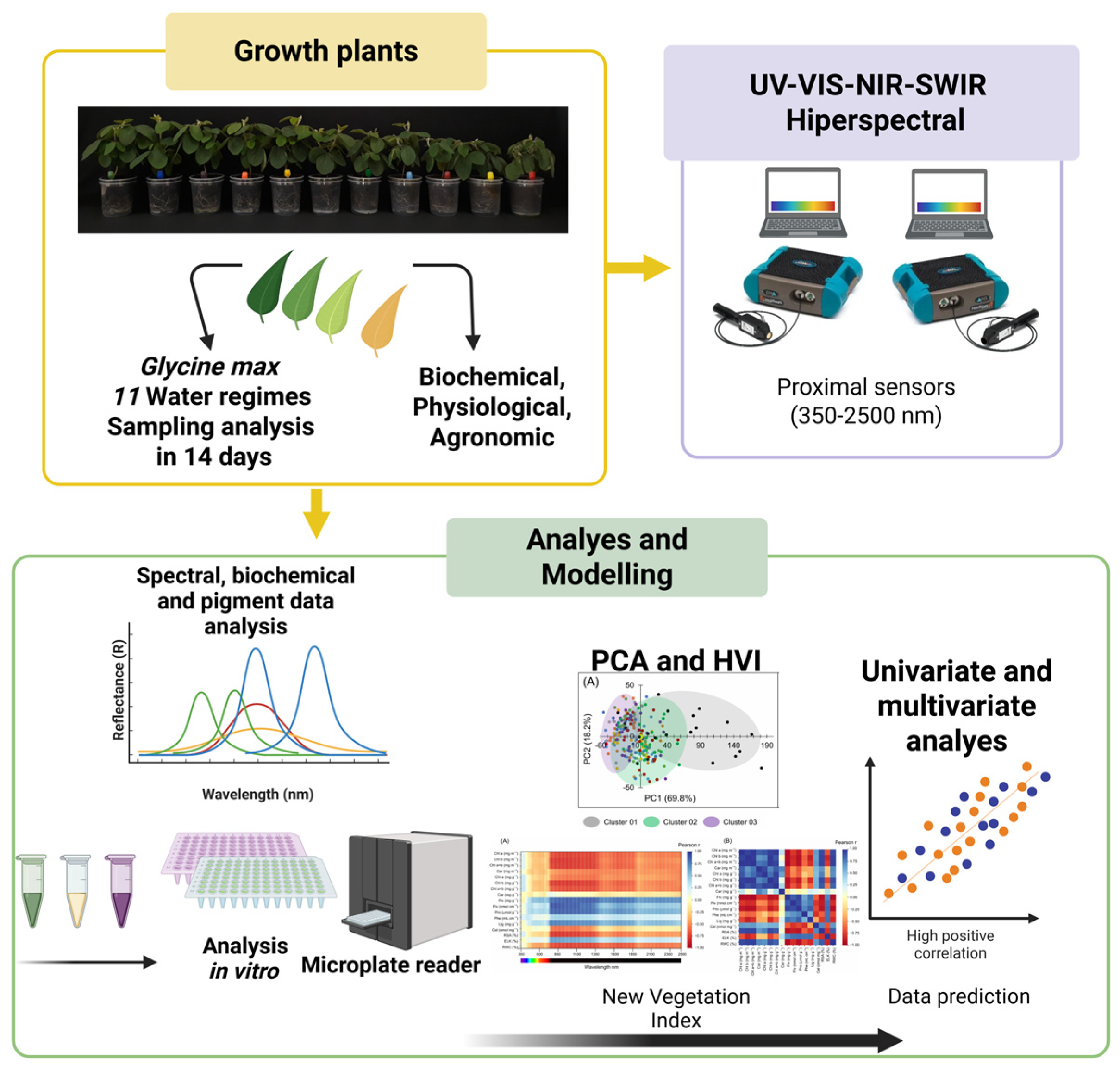 Remotesensing 17 03409 g001