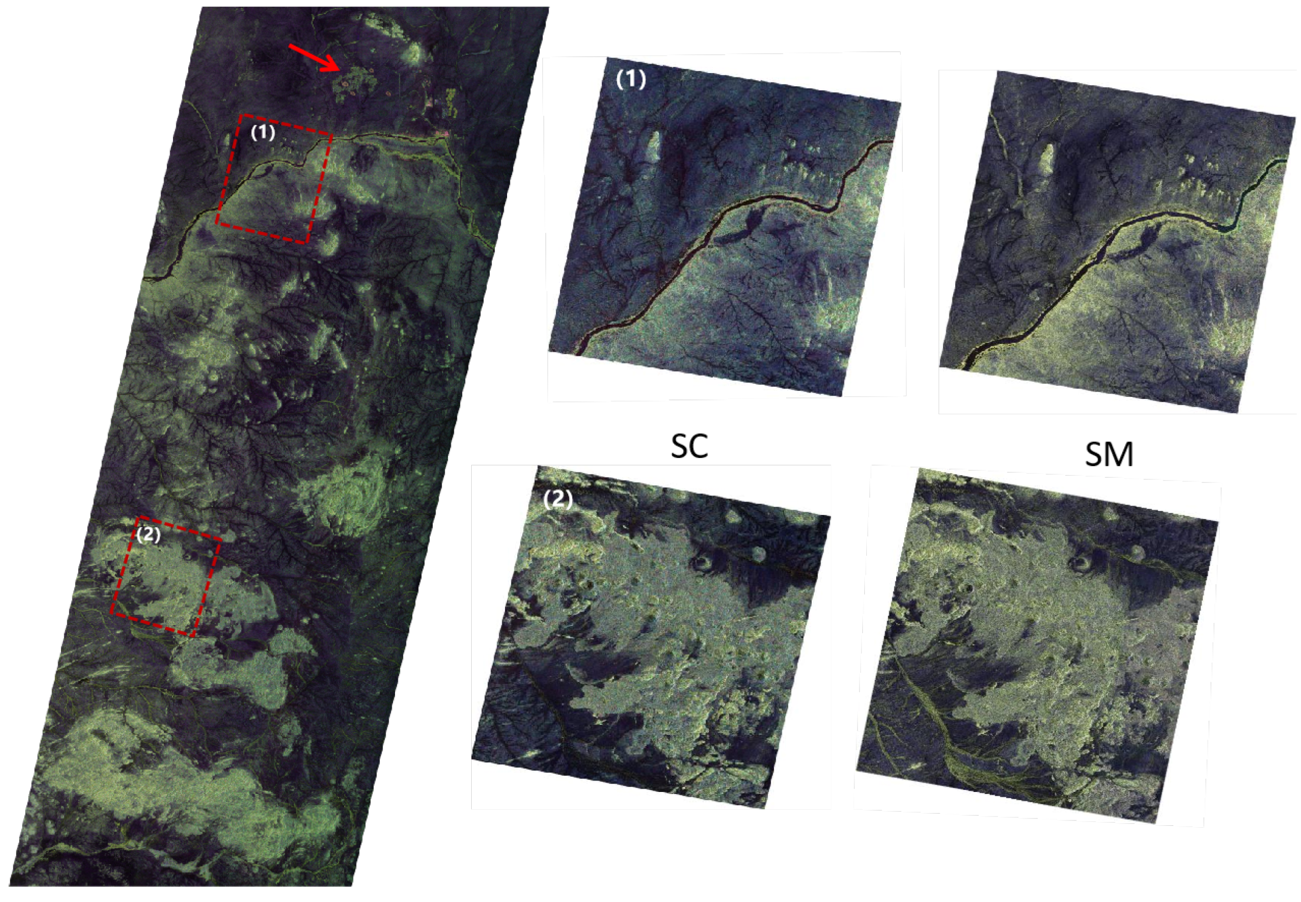 Remotesensing 17 03420 g014