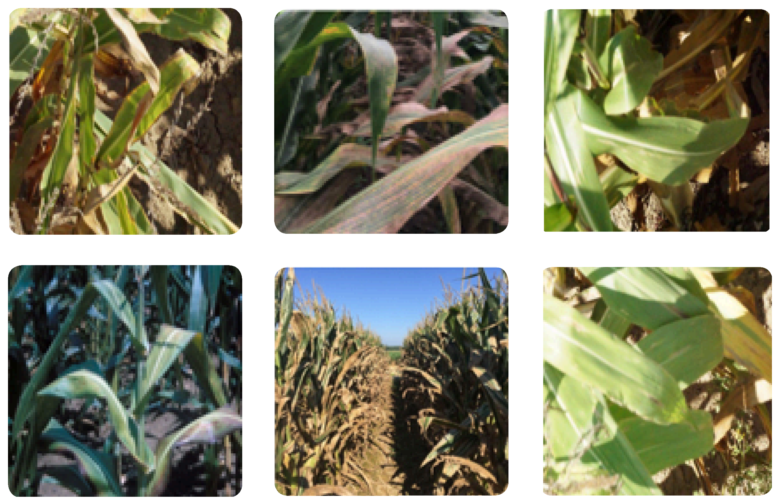 Remotesensing 17 03427 g002