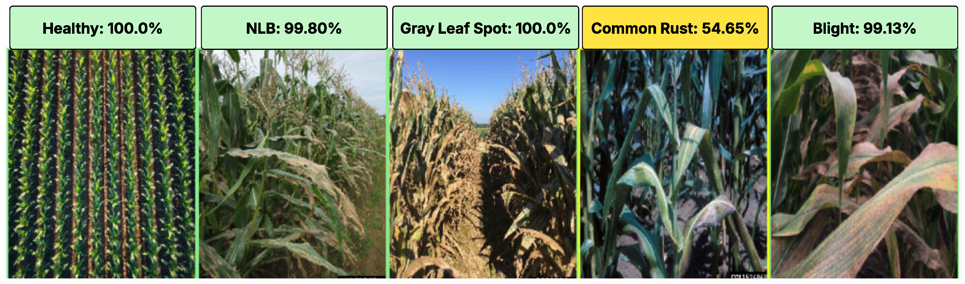 Remotesensing 17 03427 g007