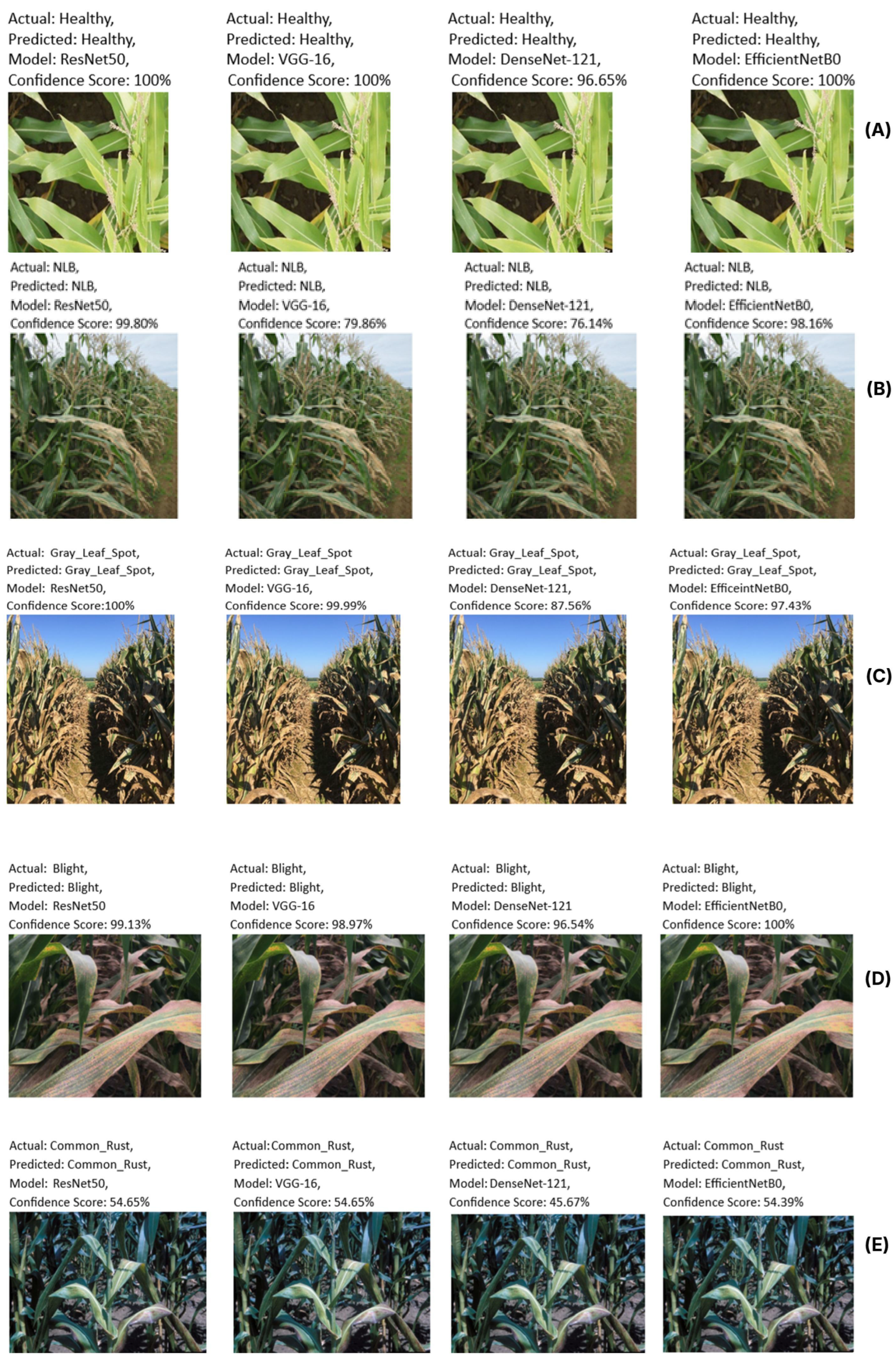 Remotesensing 17 03427 g0a1