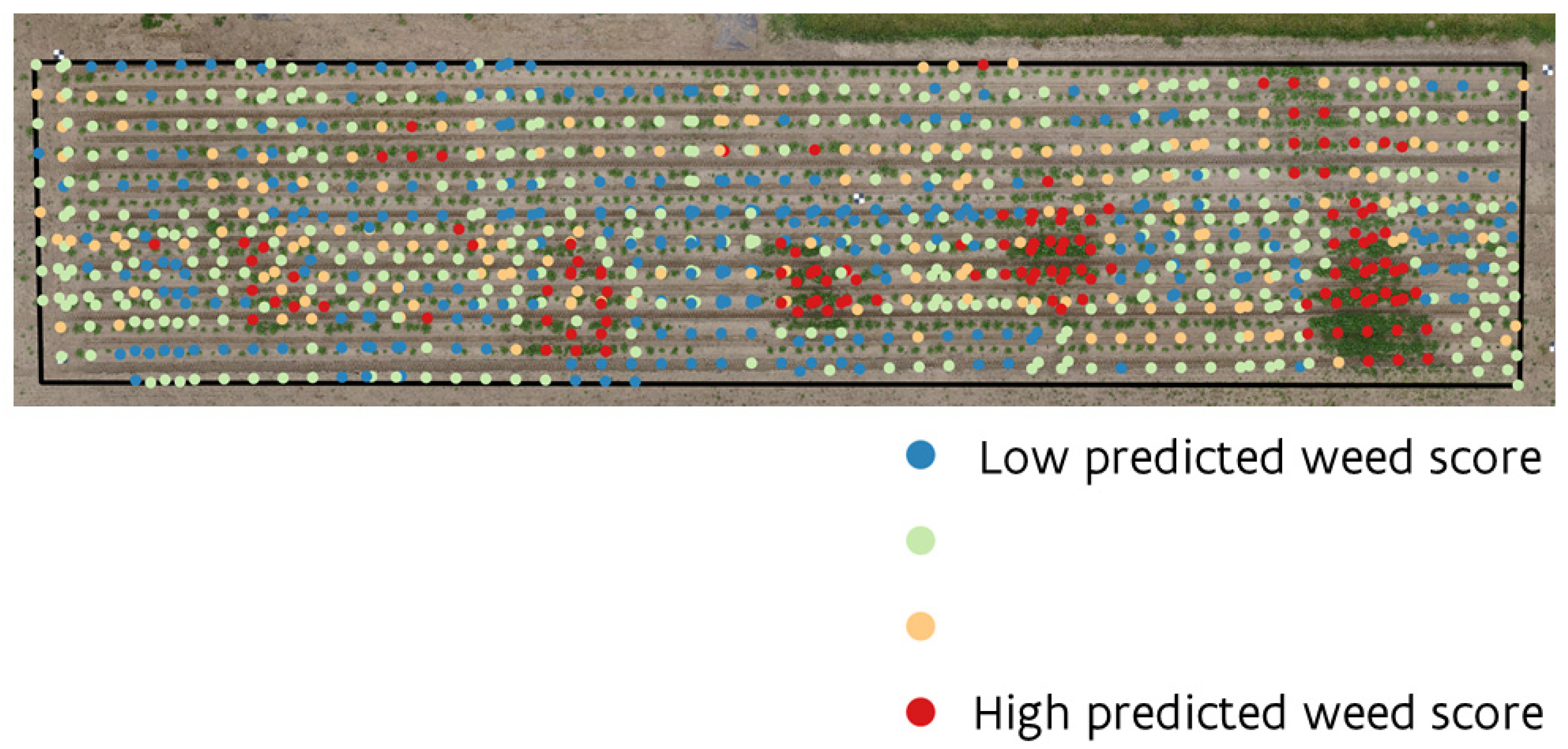 Remotesensing 17 03434 g0a1 Remotesensing 17 03434 g0a1