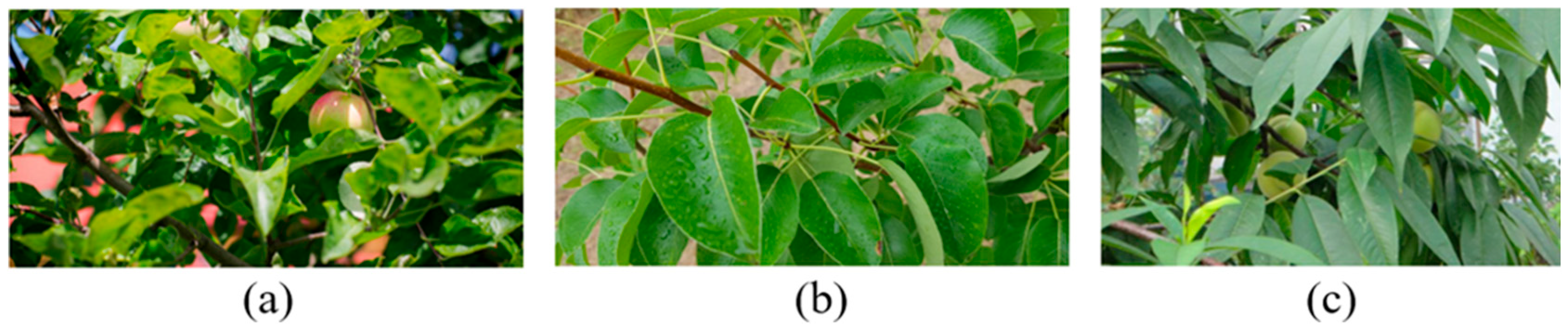 Remotesensing 17 03449 g005 Remotesensing 17 03449 g005