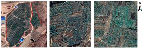 Remotesensing 17 03449 i001 Remotesensing 17 03449 i001