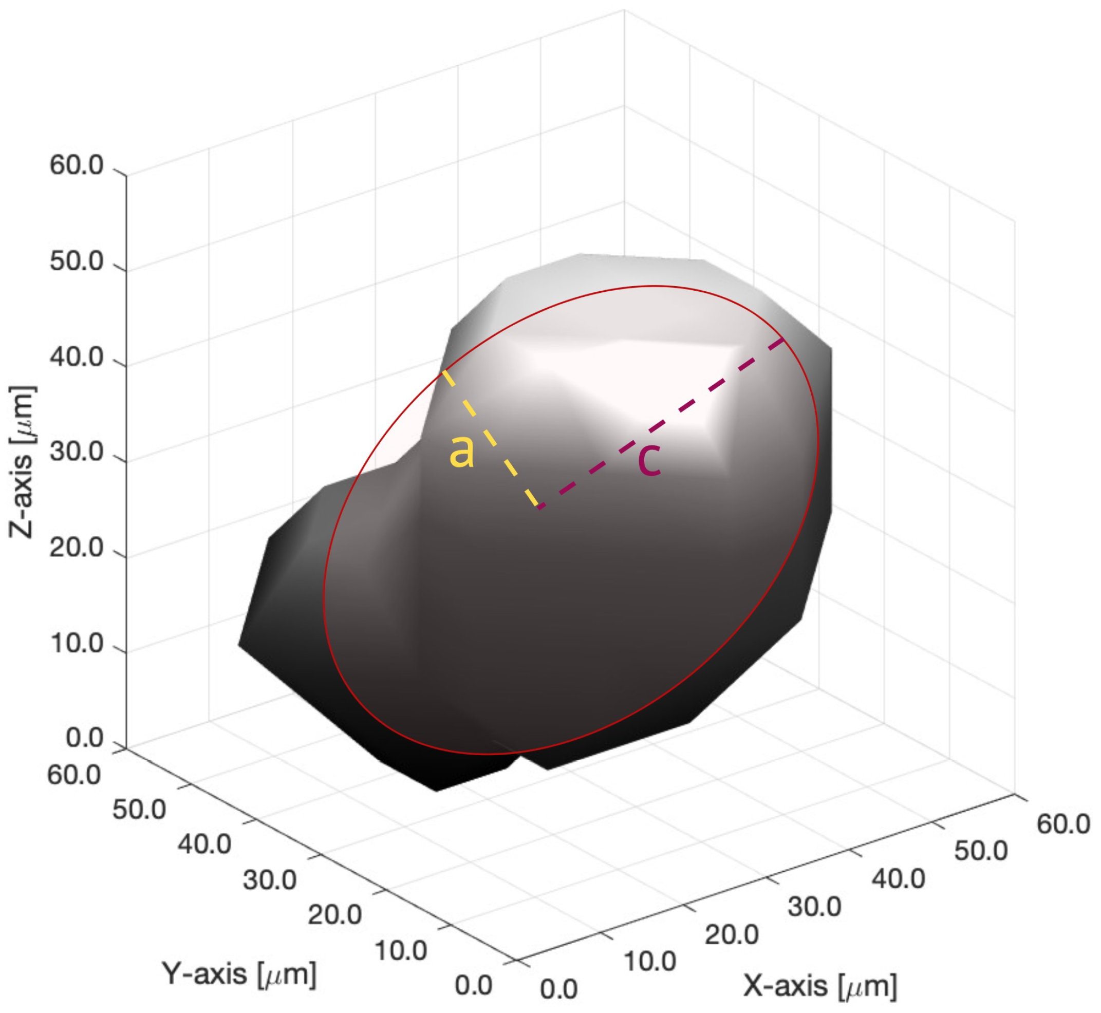 Remotesensing 17 03450 g006