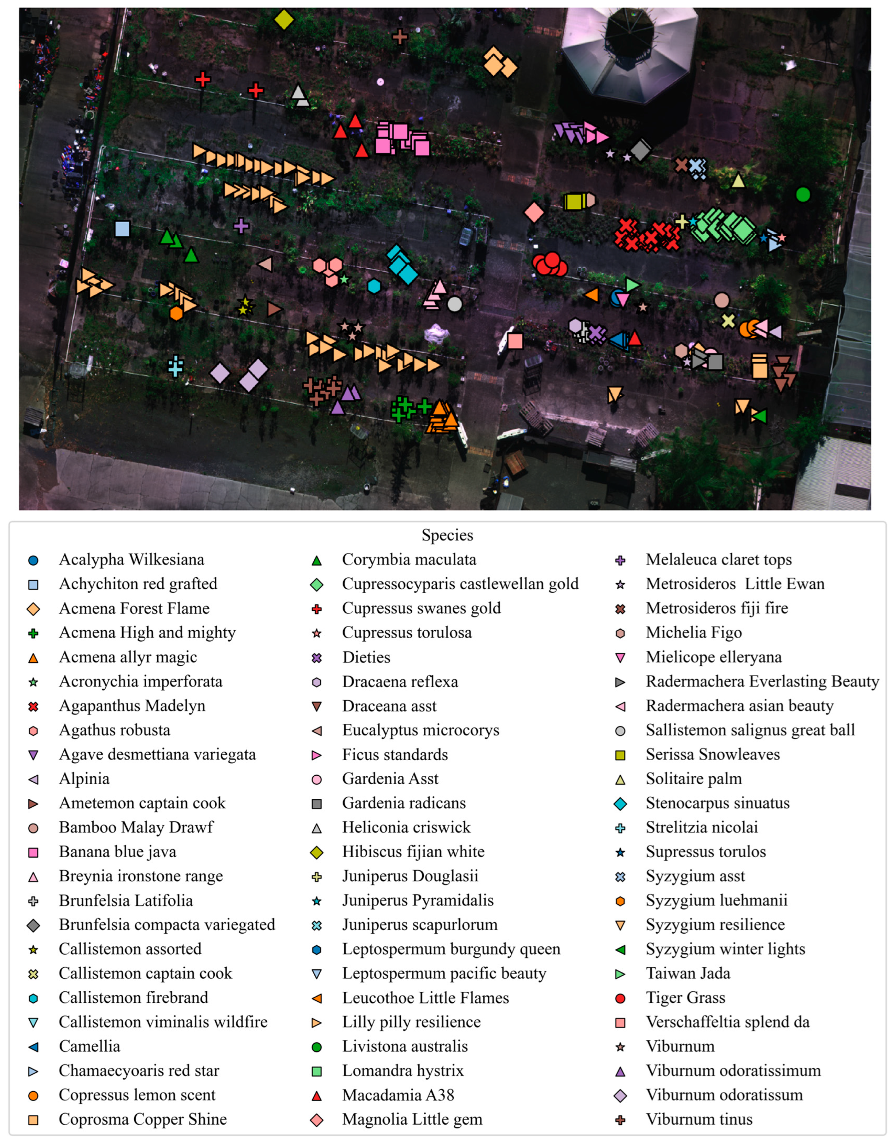 Remotesensing 17 03454 g003