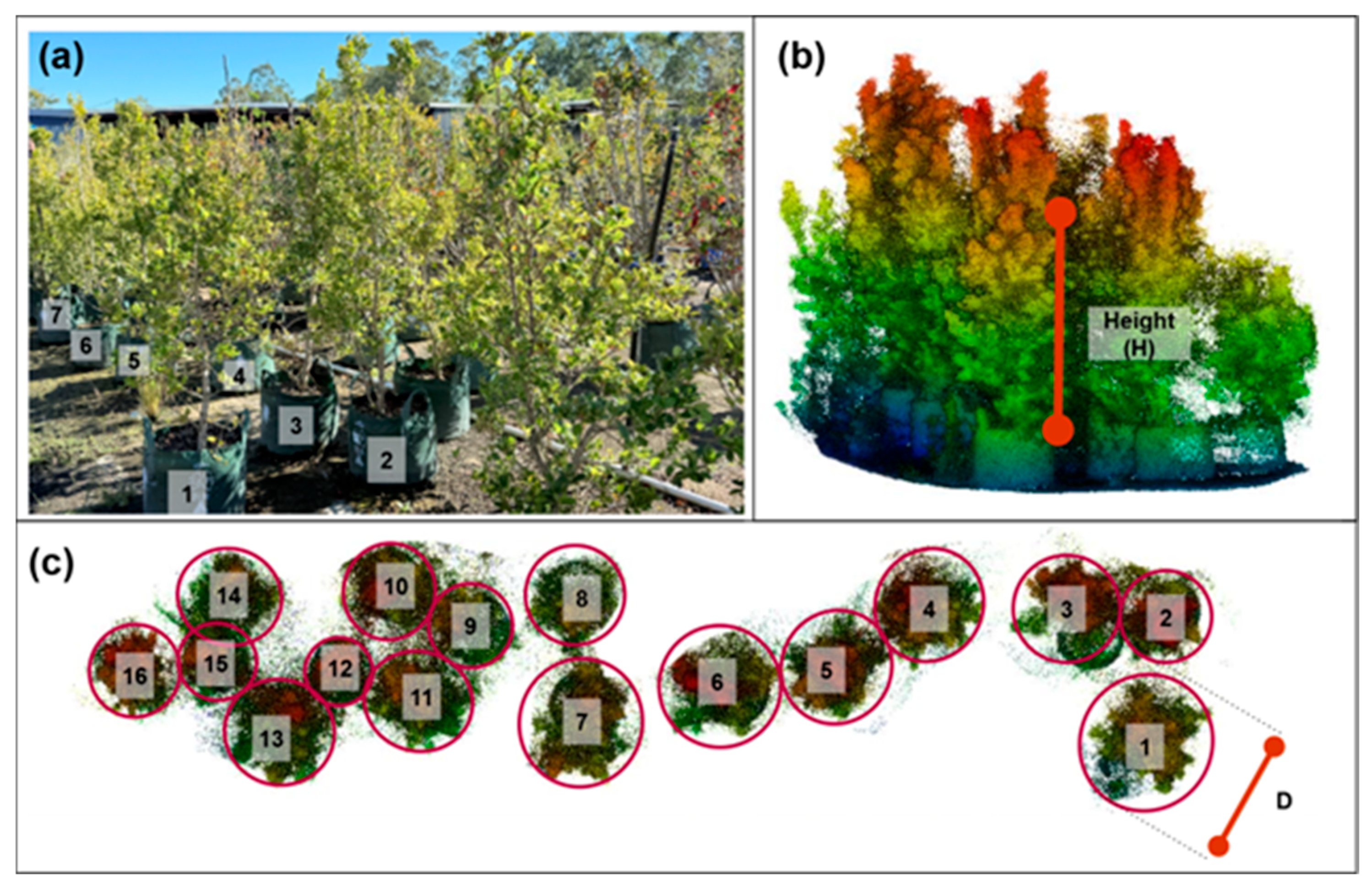 Remotesensing 17 03454 g004