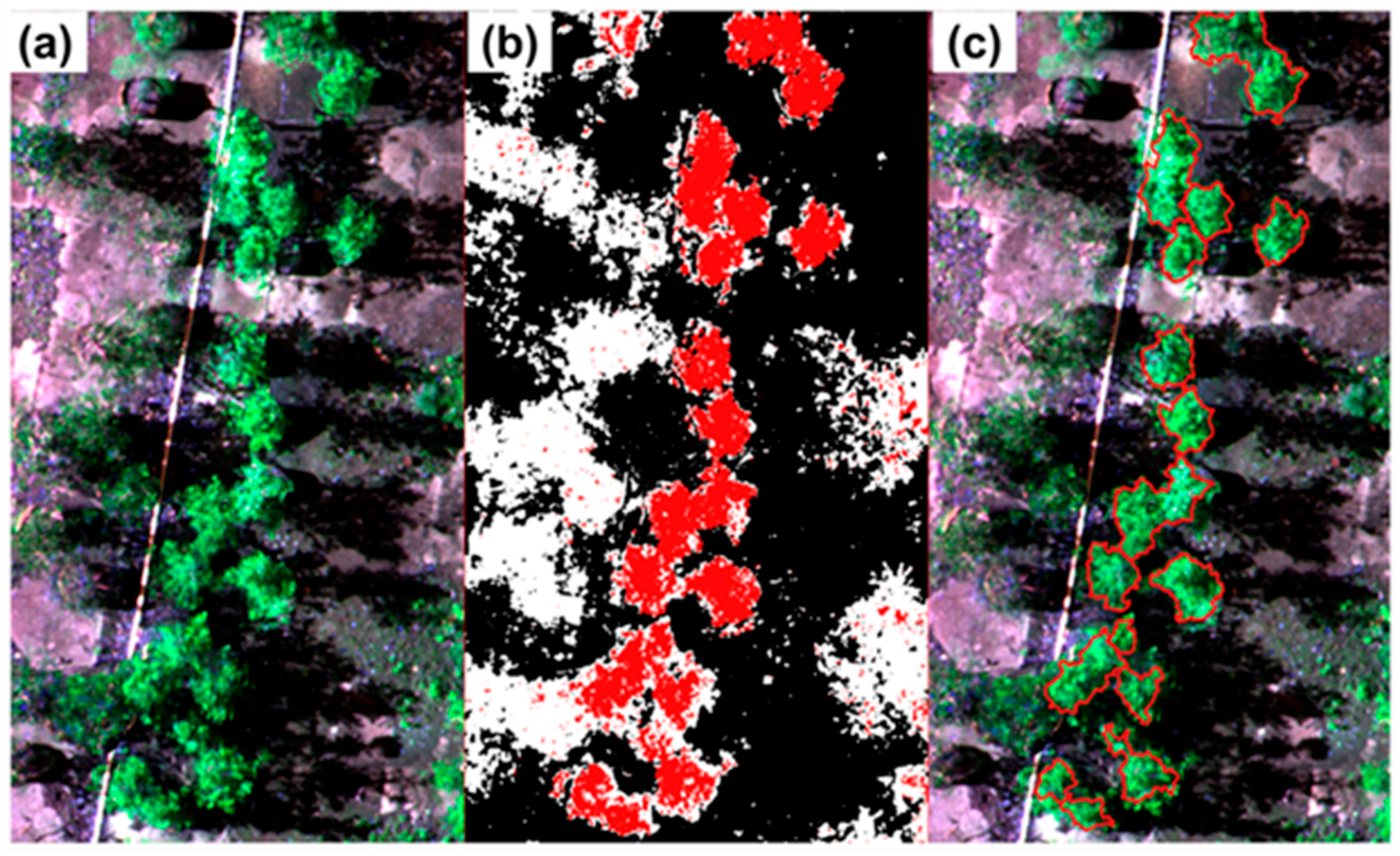 Remotesensing 17 03454 g007