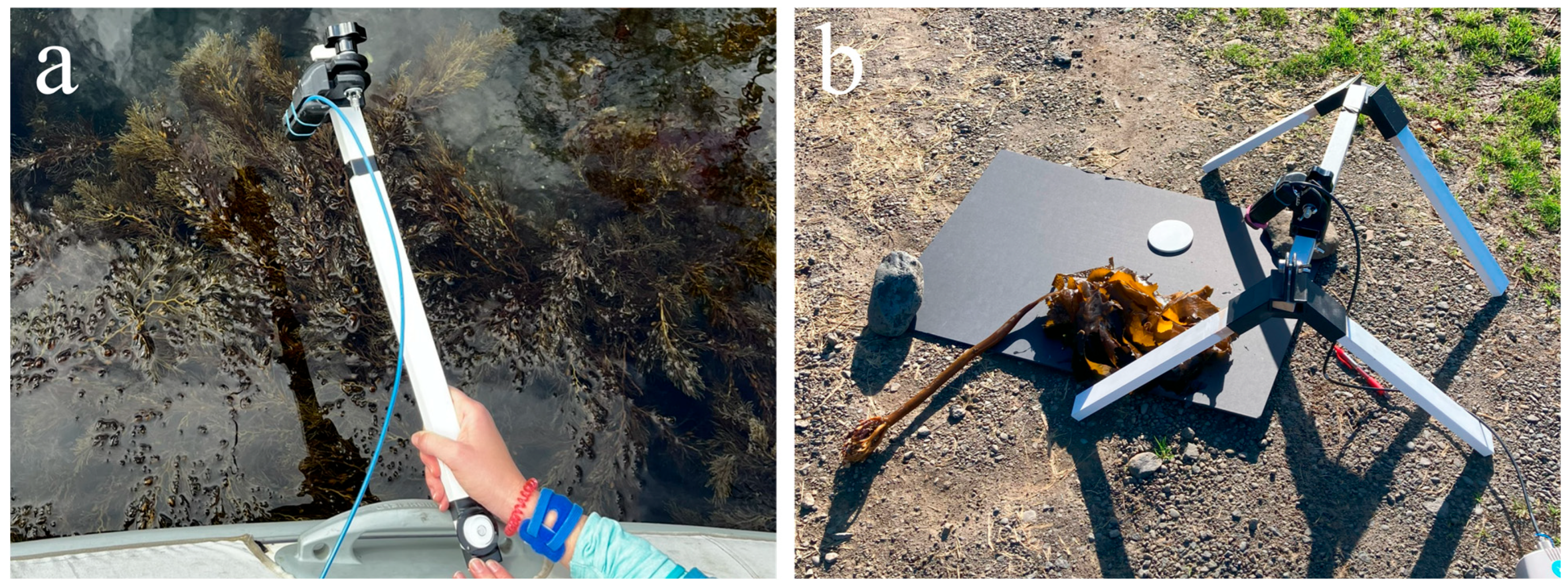 Remotesensing 17 03491 g003