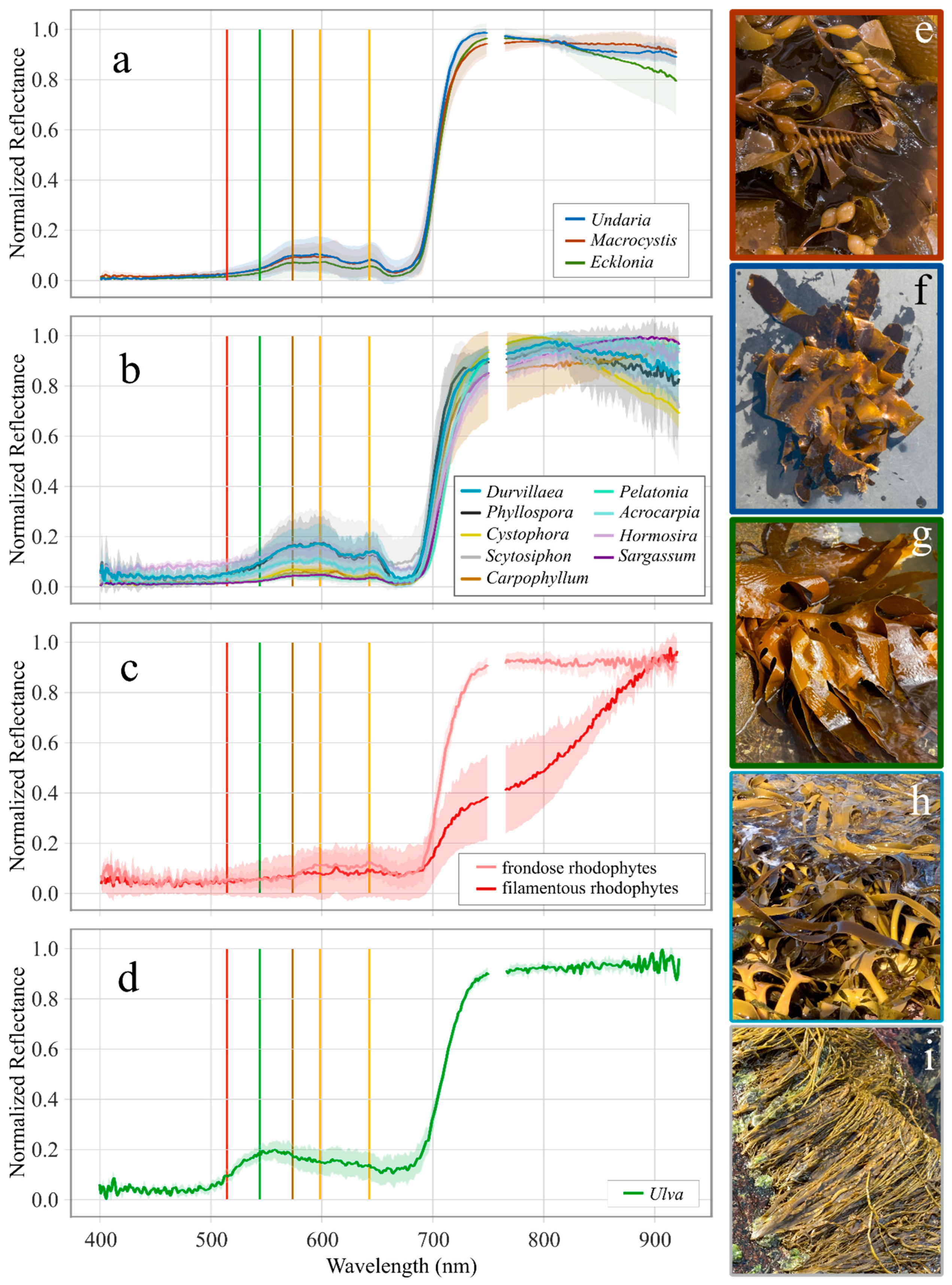 Remotesensing 17 03491 g004