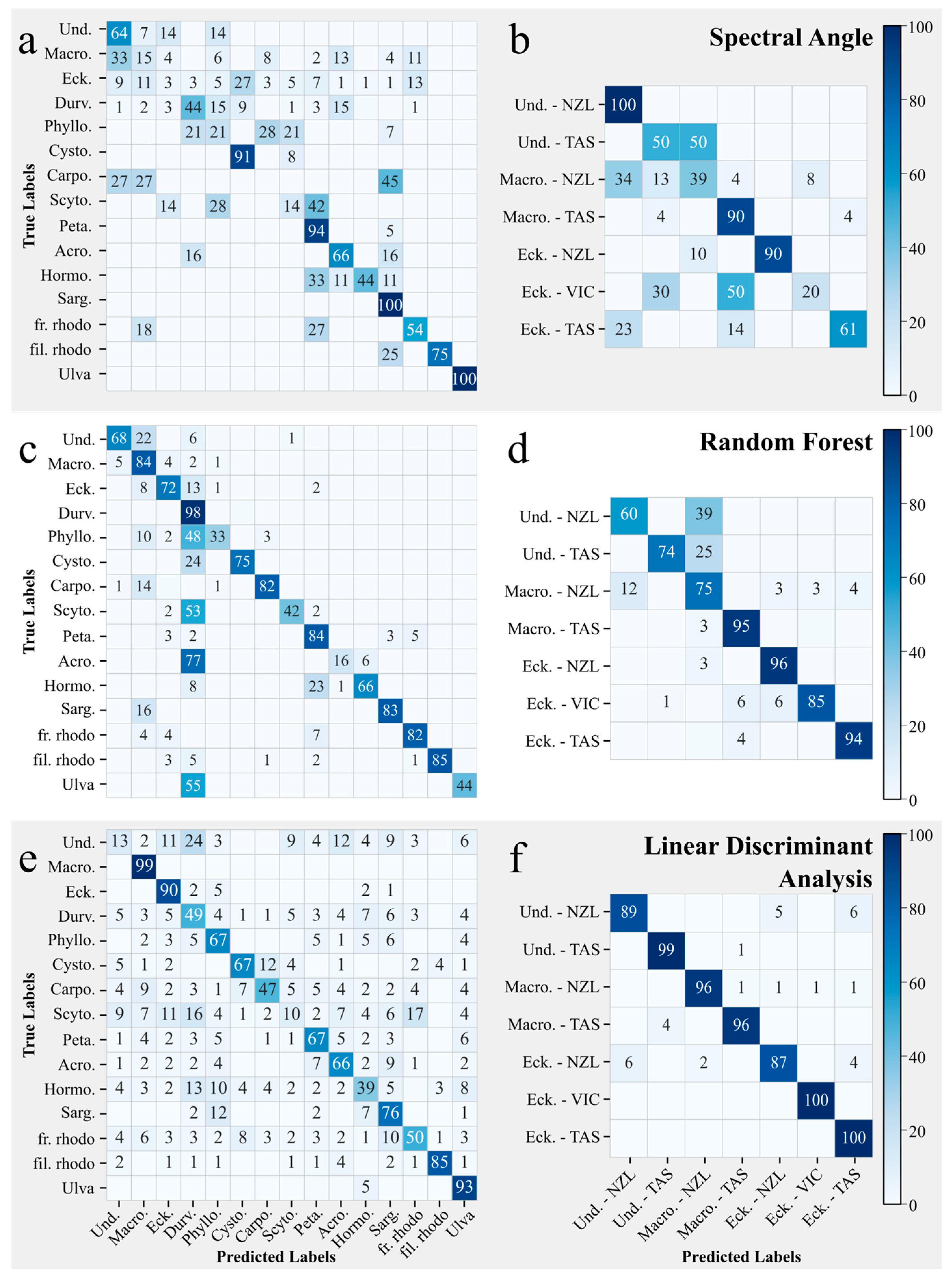 Remotesensing 17 03491 g008
