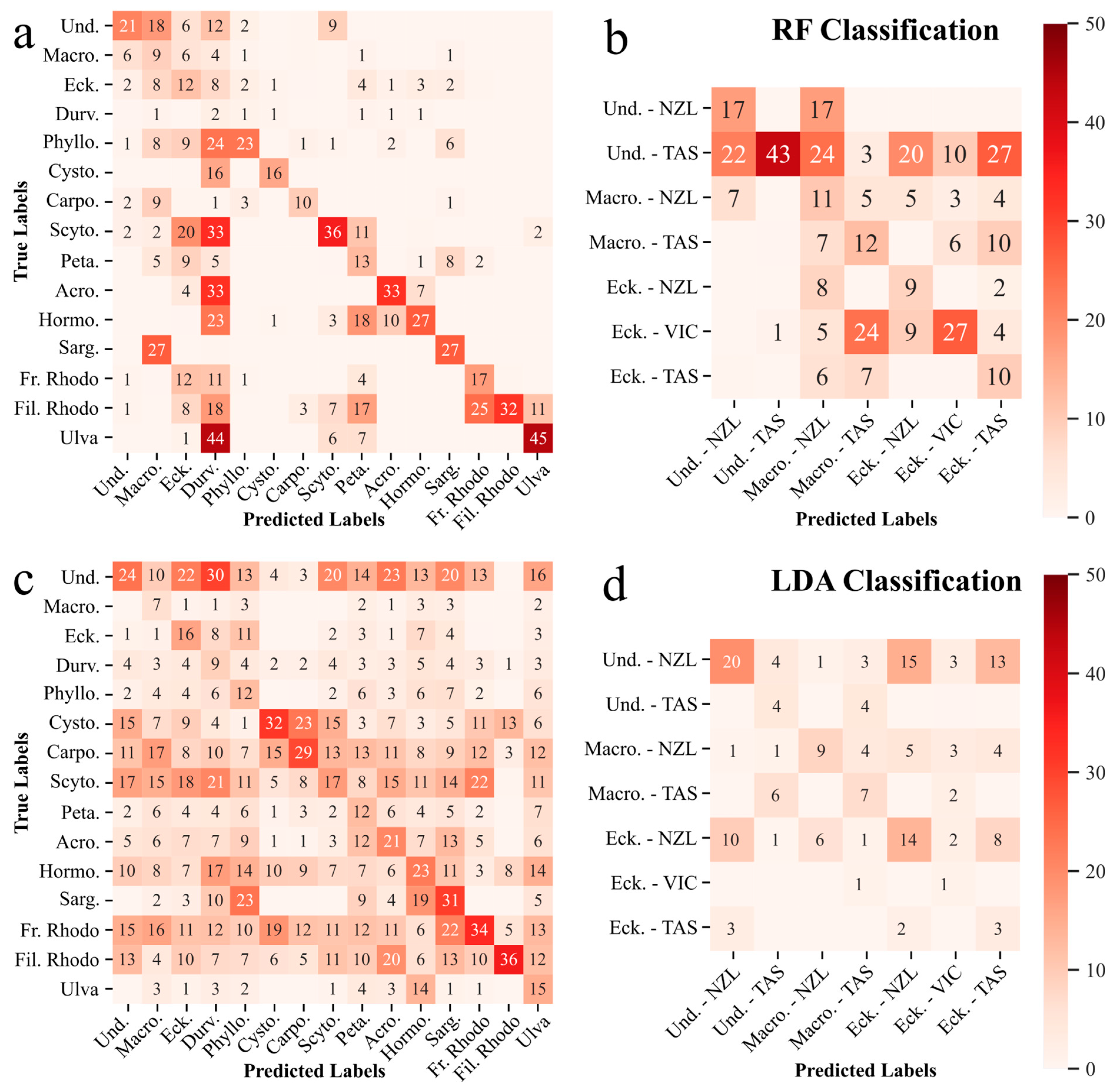 Remotesensing 17 03491 g009