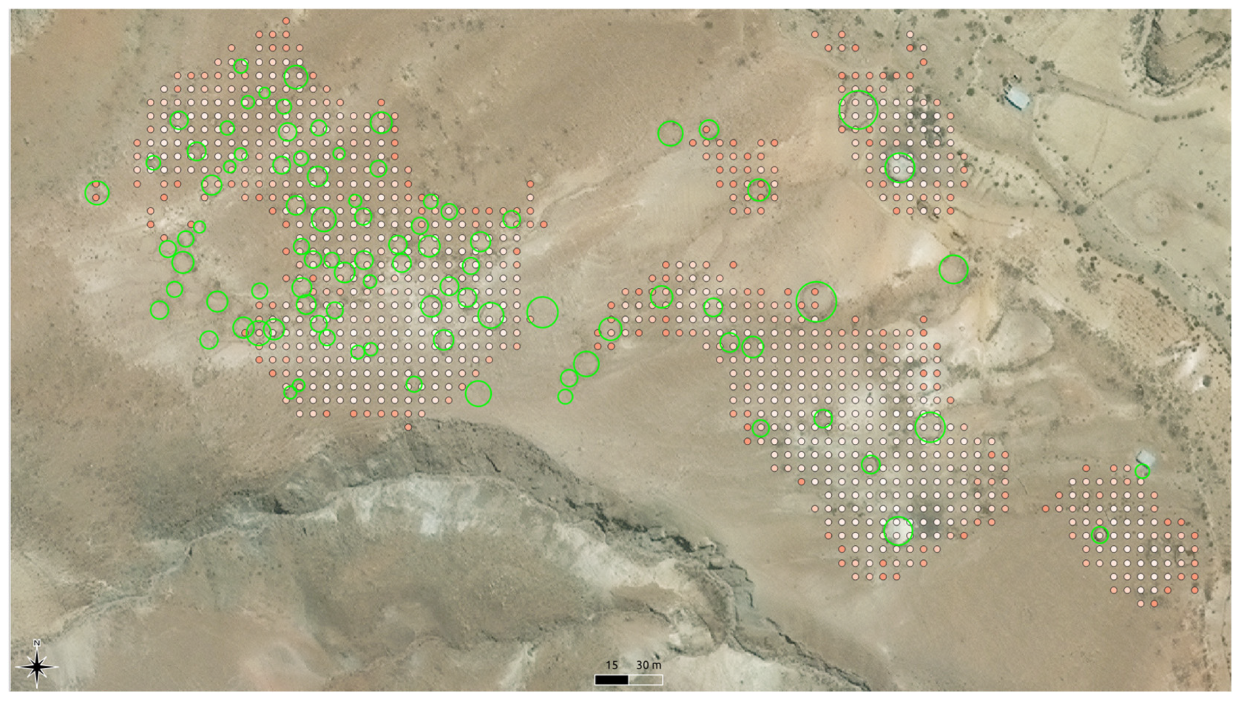 Remotesensing 17 03499 g005