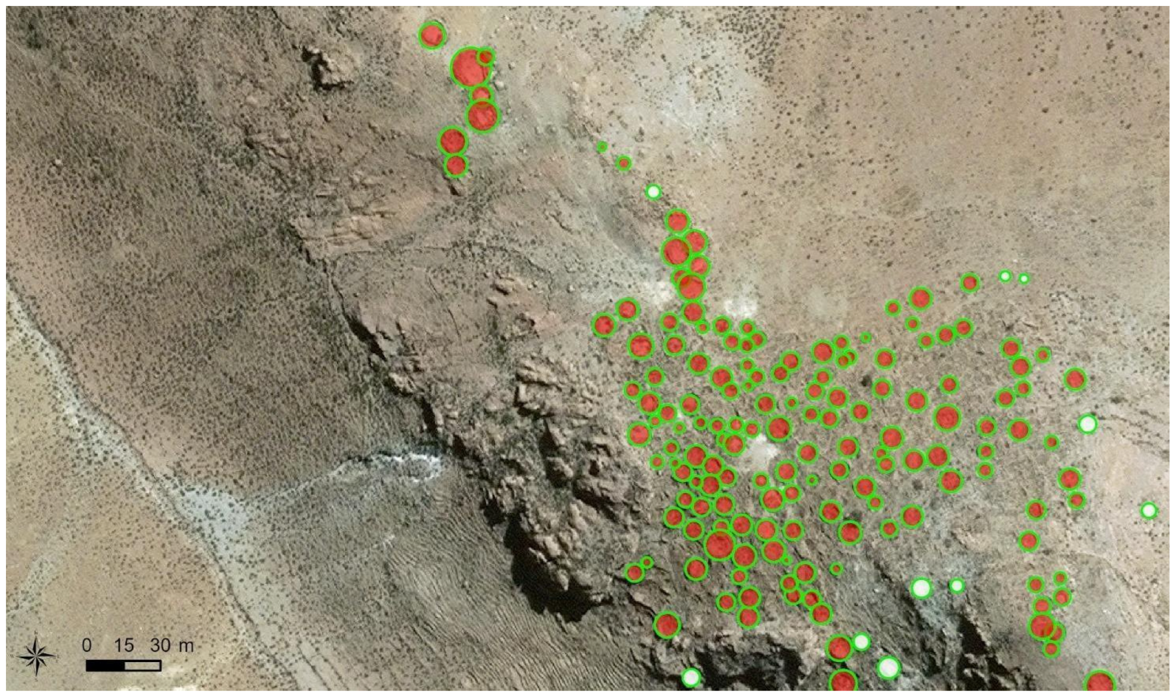 Remotesensing 17 03499 g007