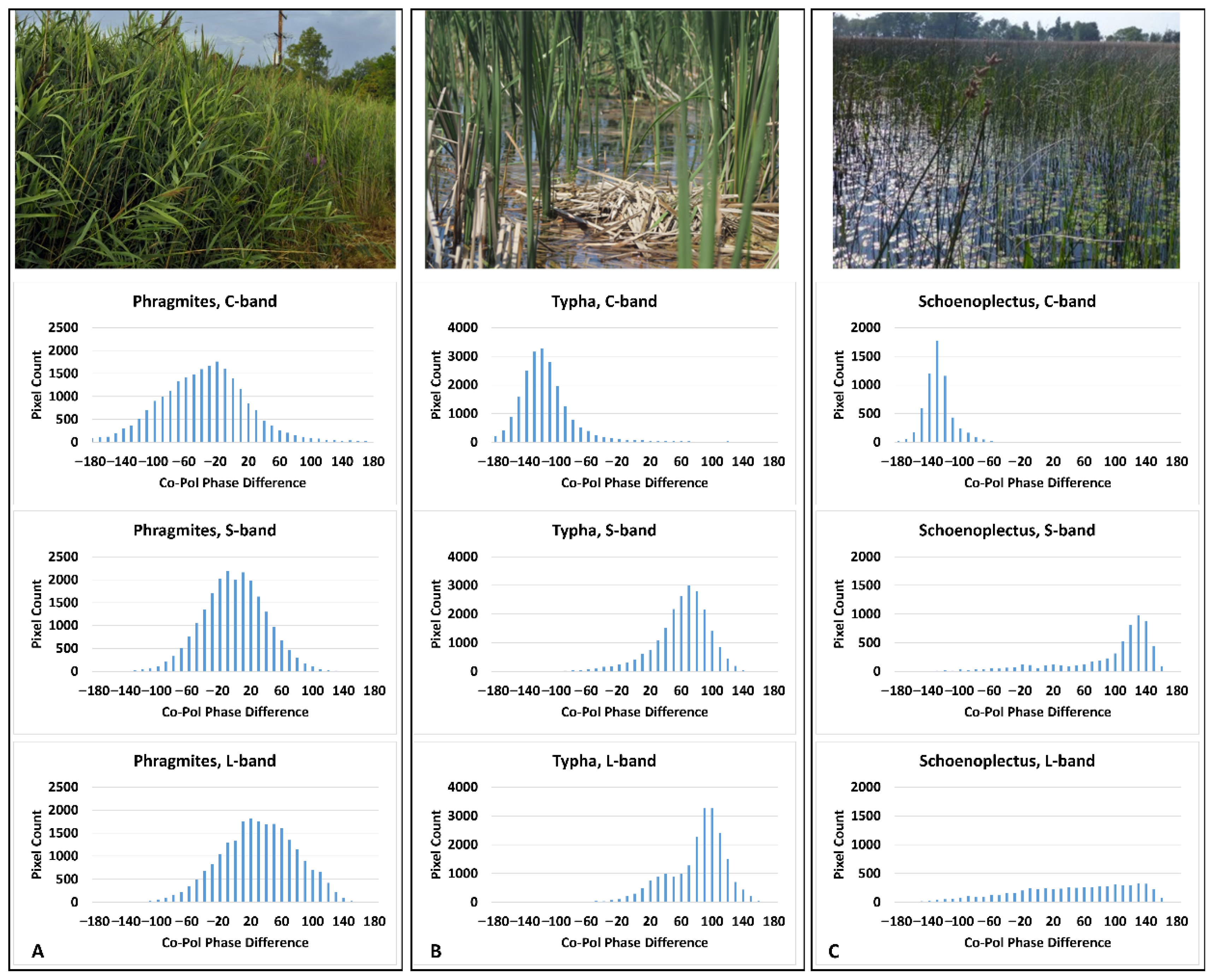 Remotesensing 17 03506 g007