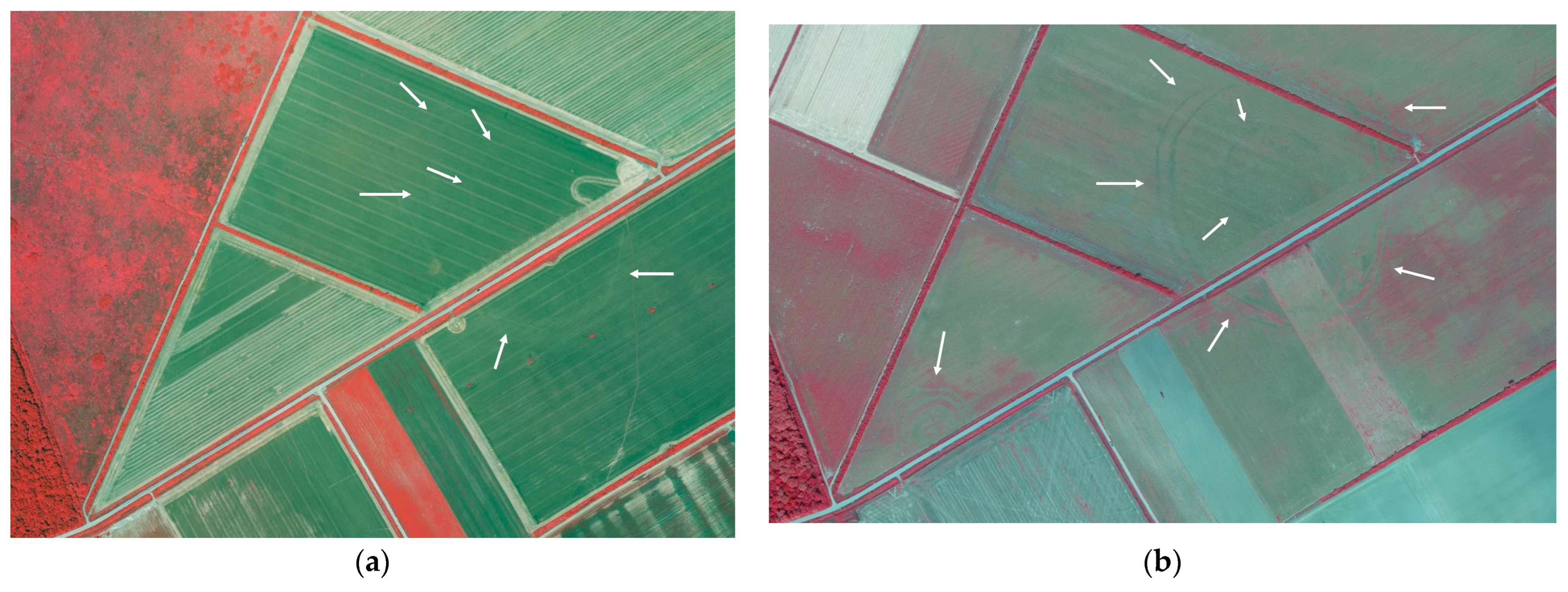 Remotesensing 17 03508 g005