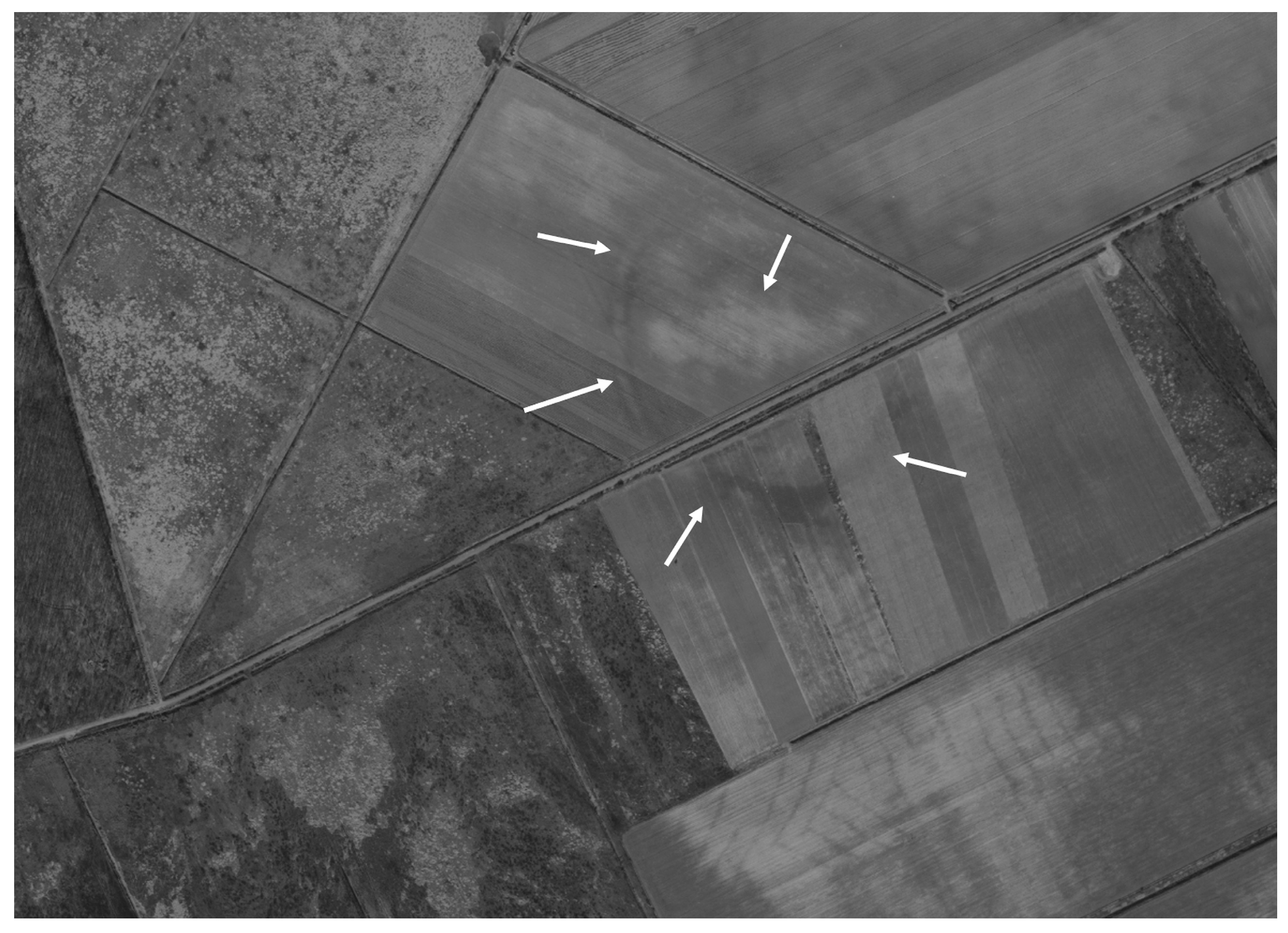 Remotesensing 17 03508 g006