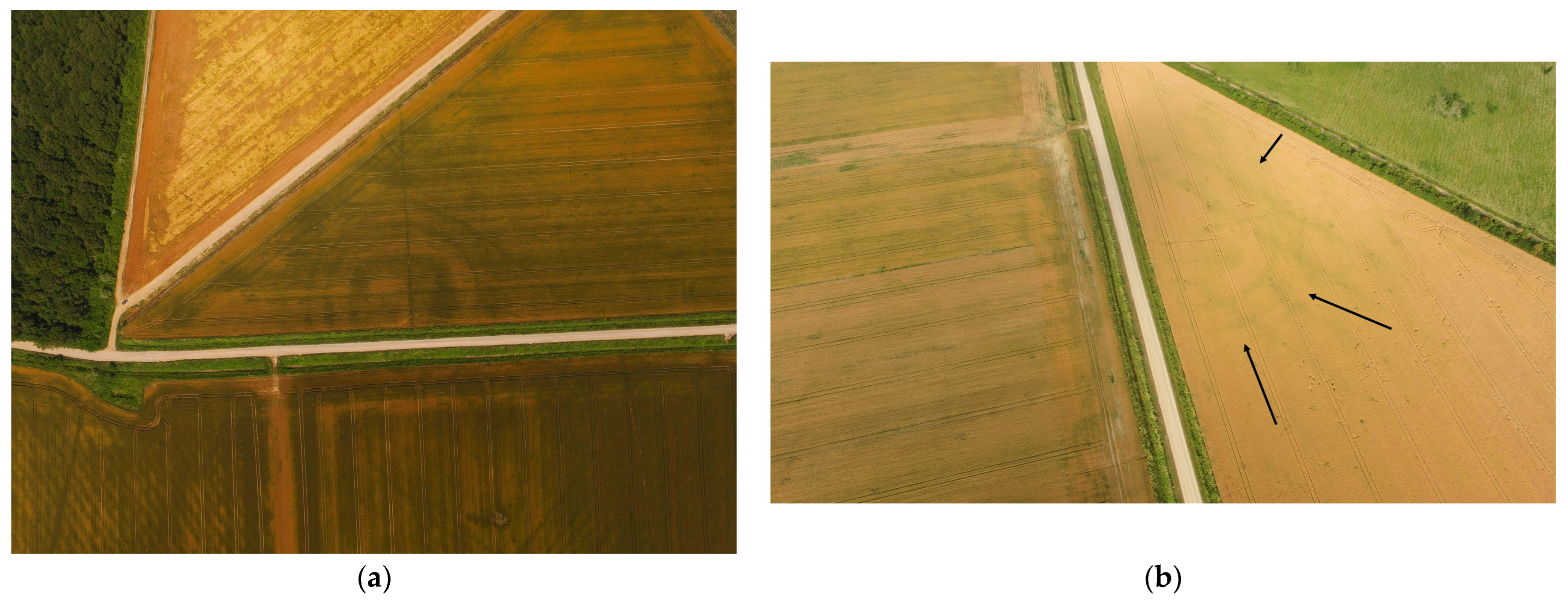 Remotesensing 17 03508 g008