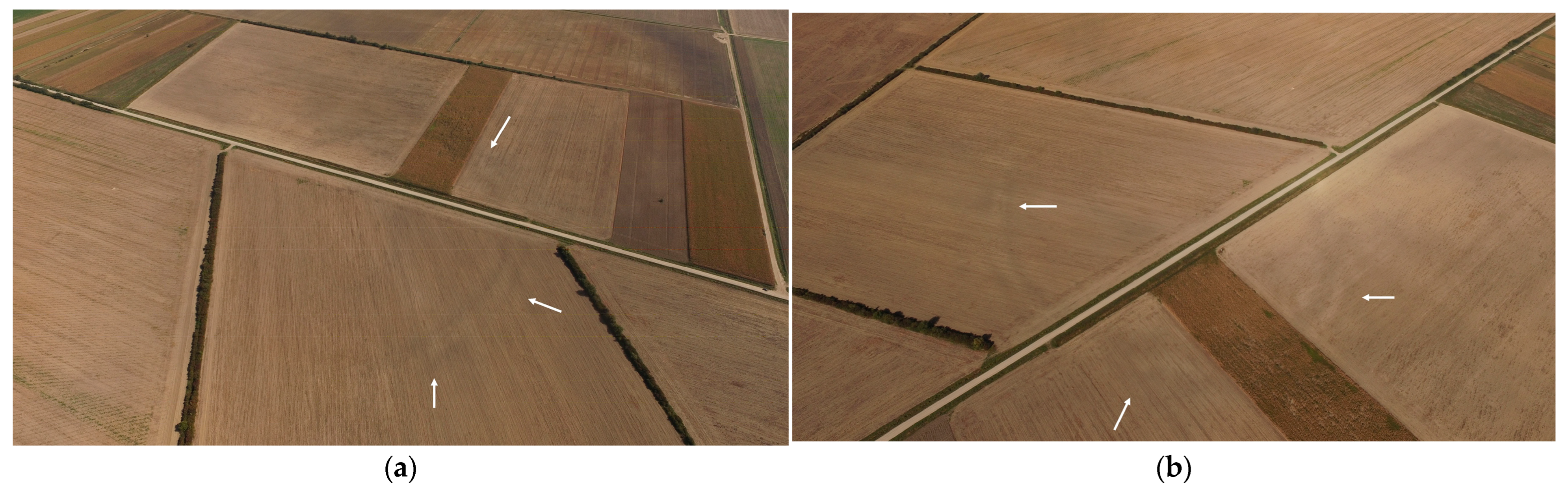 Remotesensing 17 03508 g009