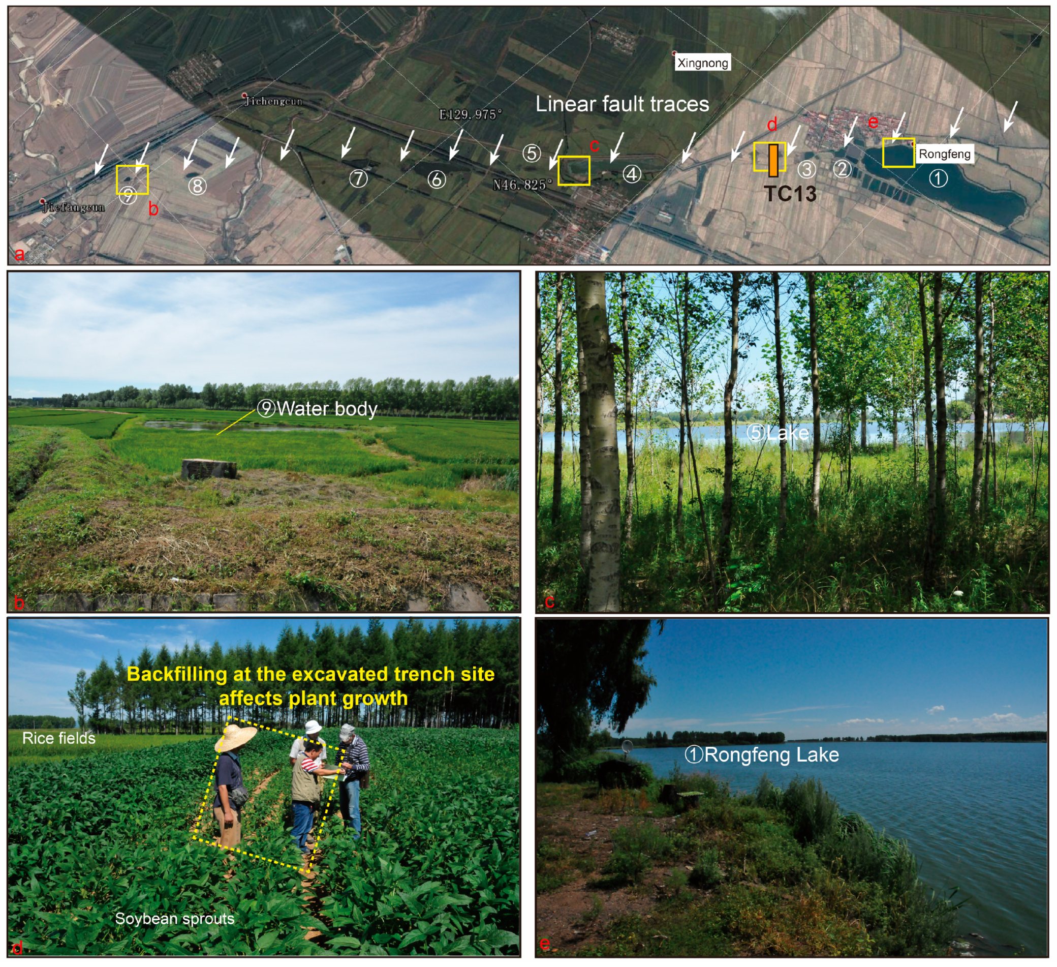 Remotesensing 17 03523 g006