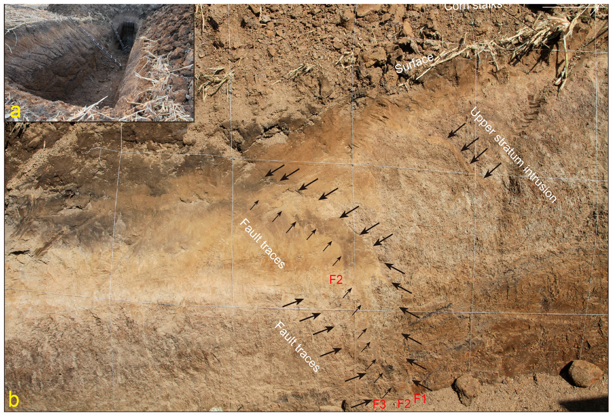 Remotesensing 17 03523 g009