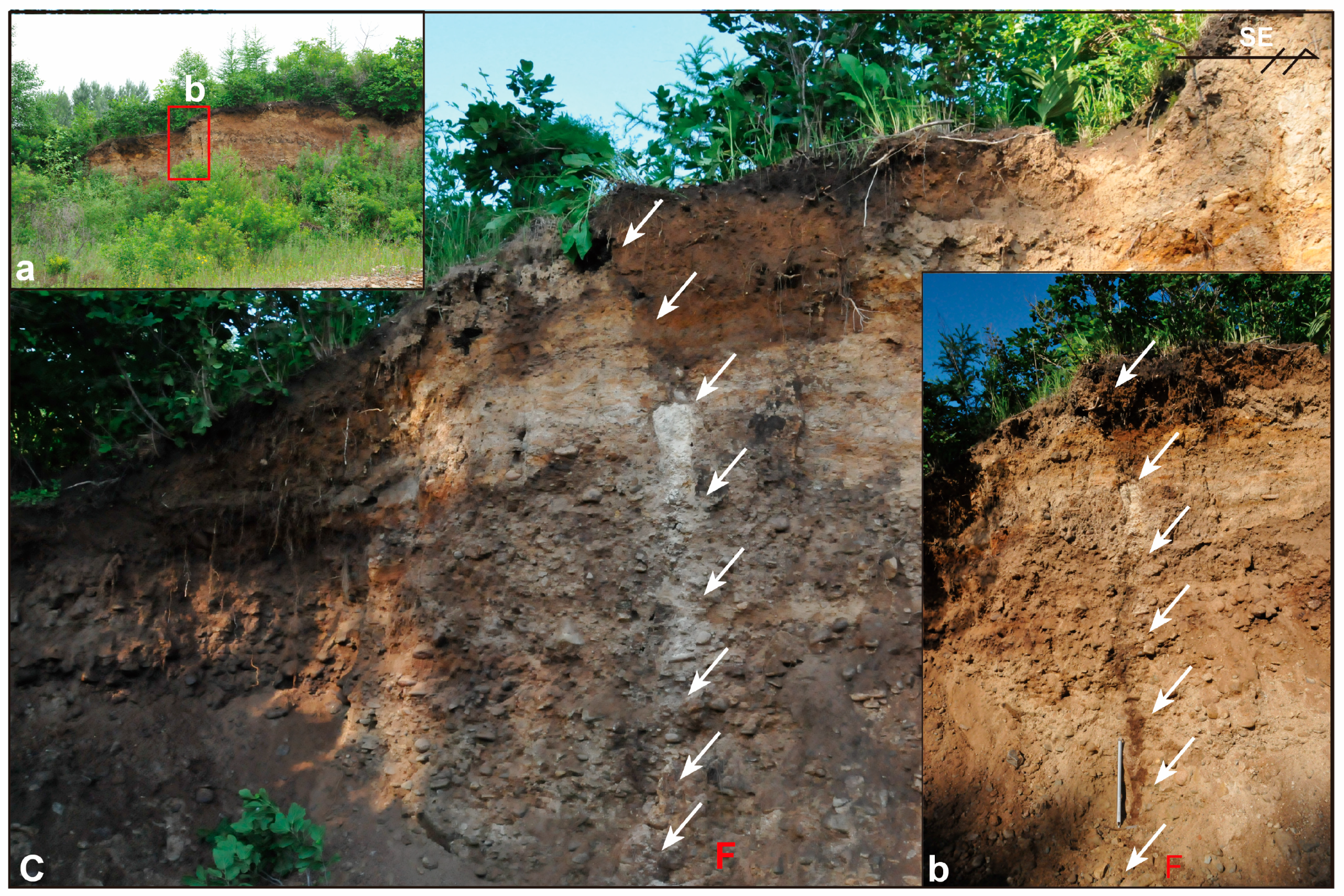 Remotesensing 17 03523 g012