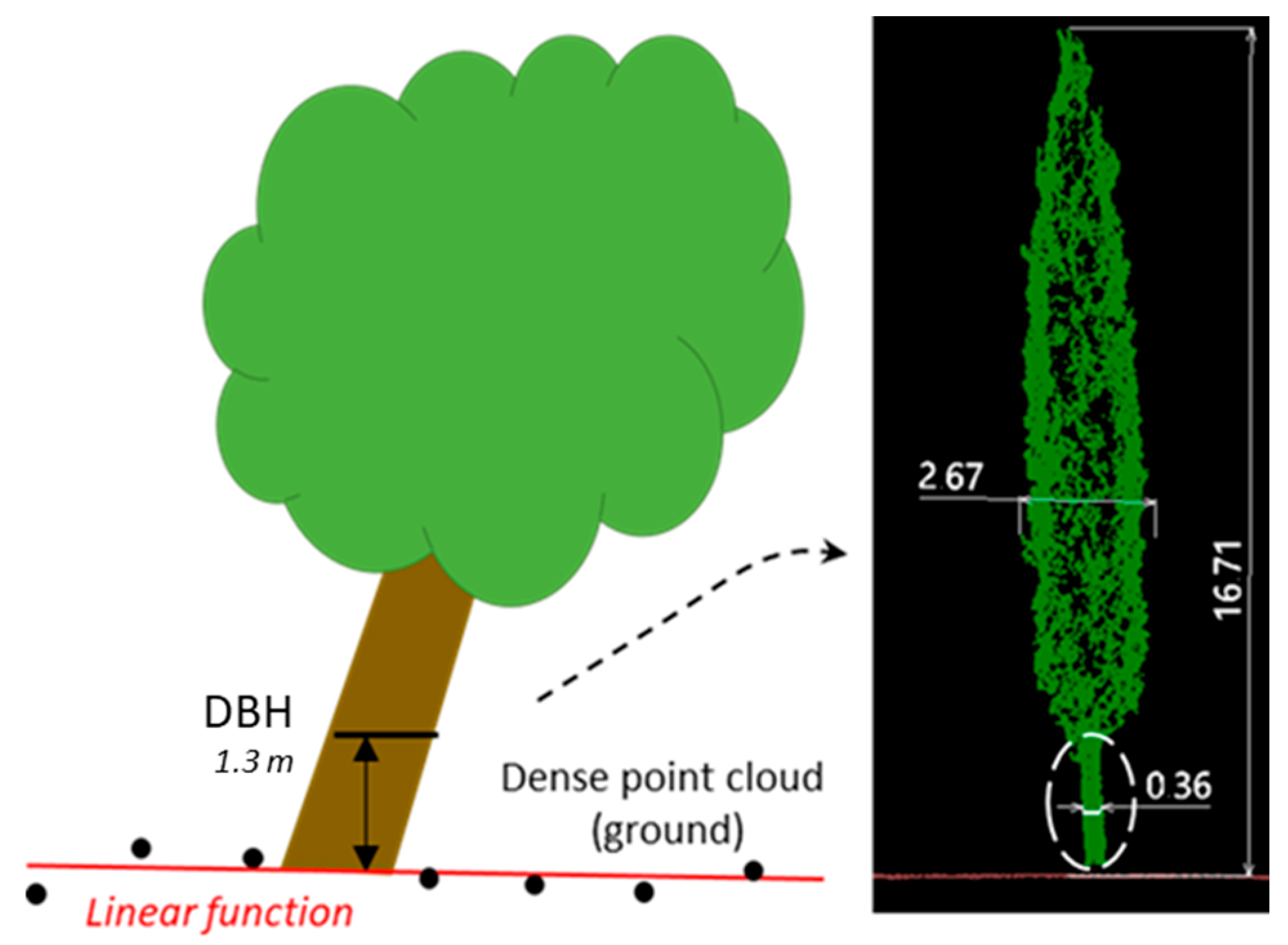 Remotesensing 17 03557 g005 Remotesensing 17 03557 g005
