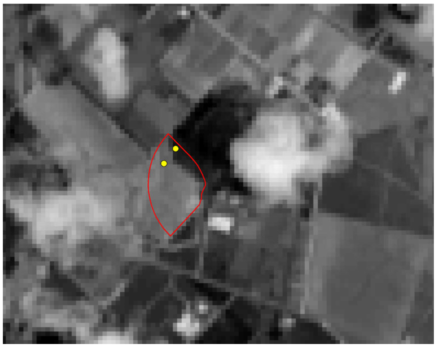 Remotesensing 17 03579 g0a1 Remotesensing 17 03579 g0a1