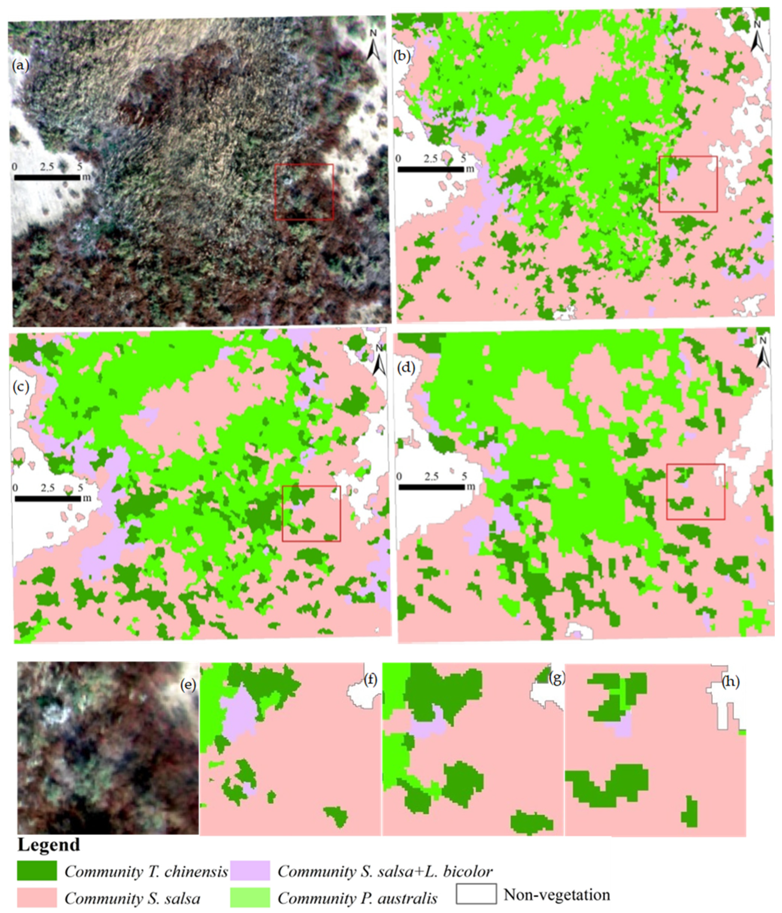 Remotesensing 17 03598 g005 Remotesensing 17 03598 g005