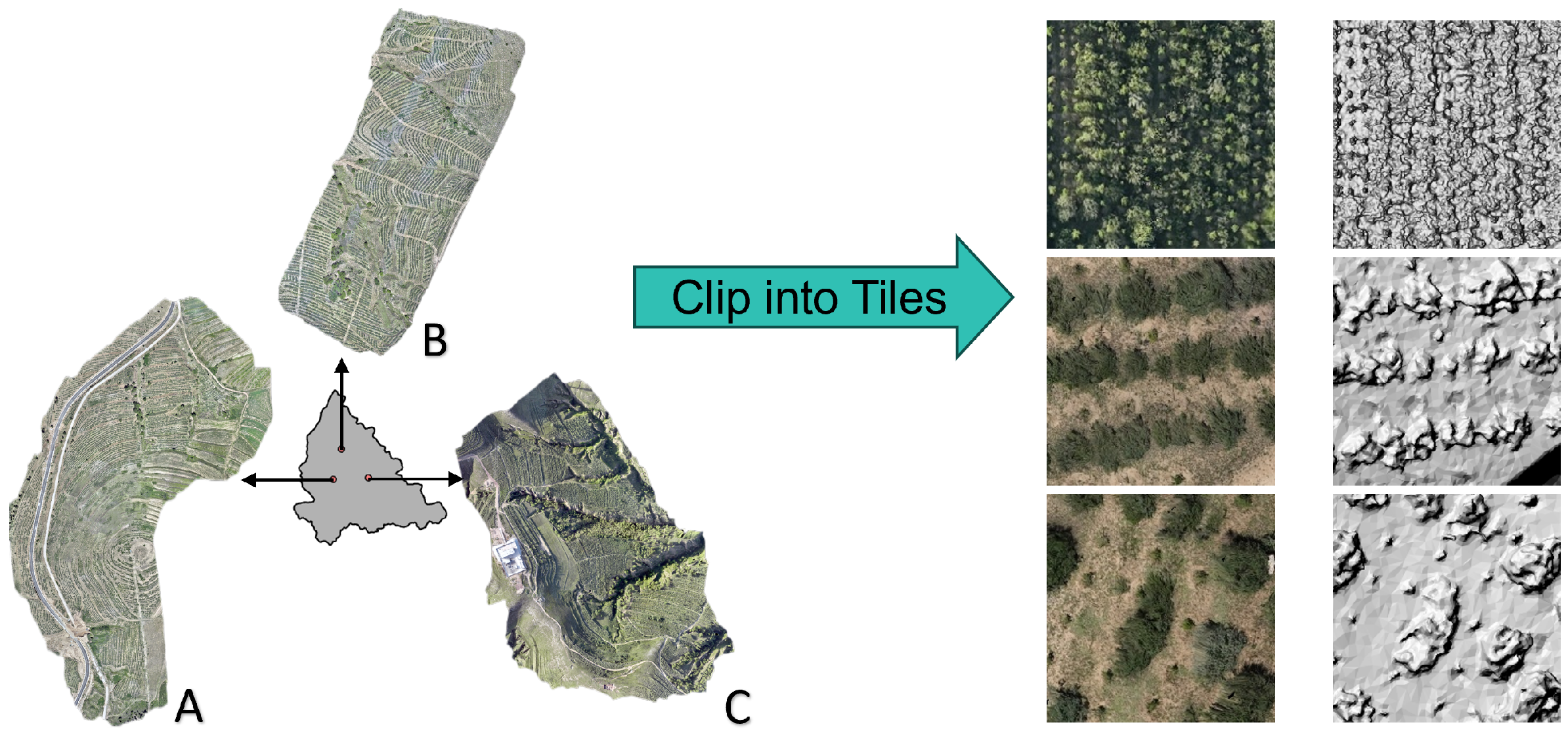 Remotesensing 17 03650 g005 Remotesensing 17 03650 g005