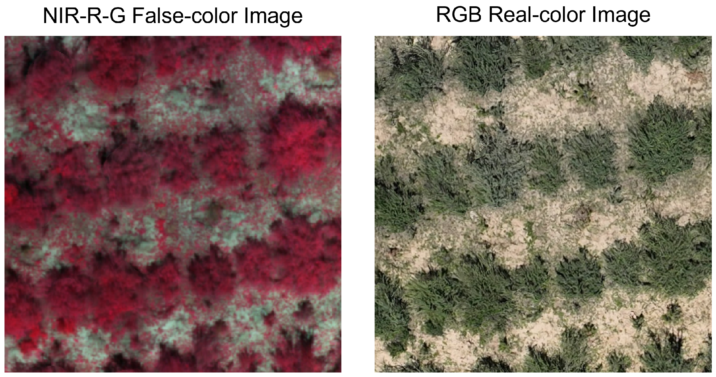 Remotesensing 17 03650 g010 Remotesensing 17 03650 g010