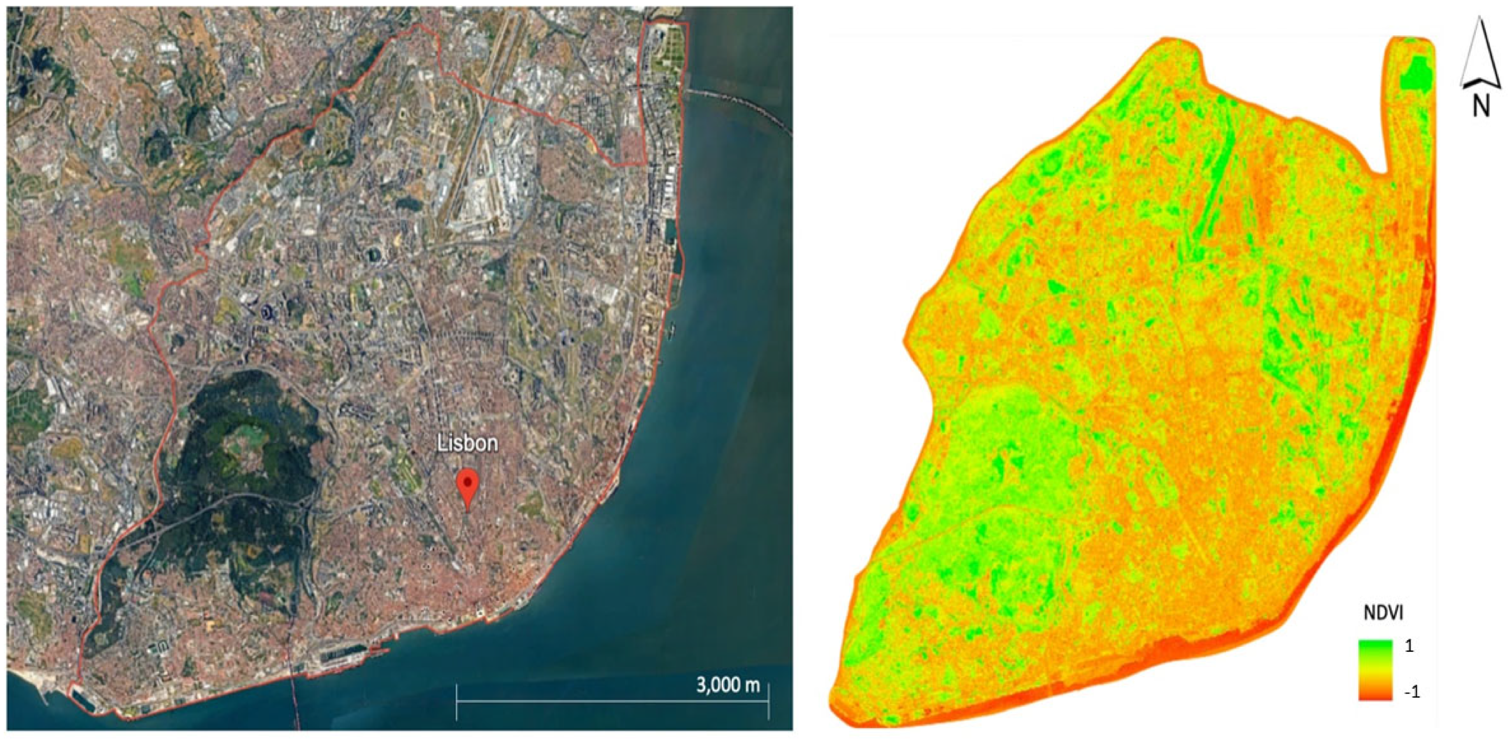 Remotesensing 17 03657 g005