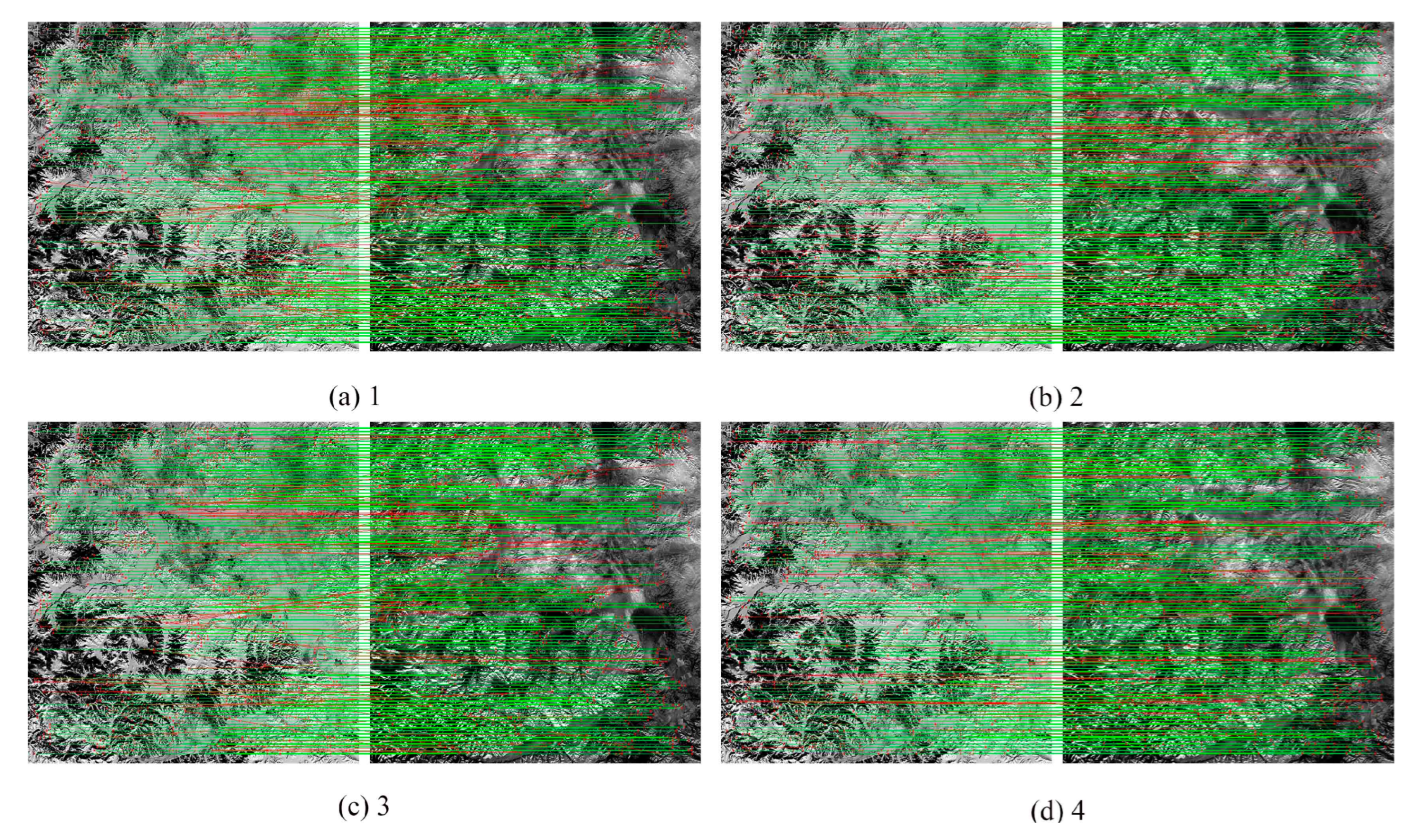 Remotesensing 17 03666 g011