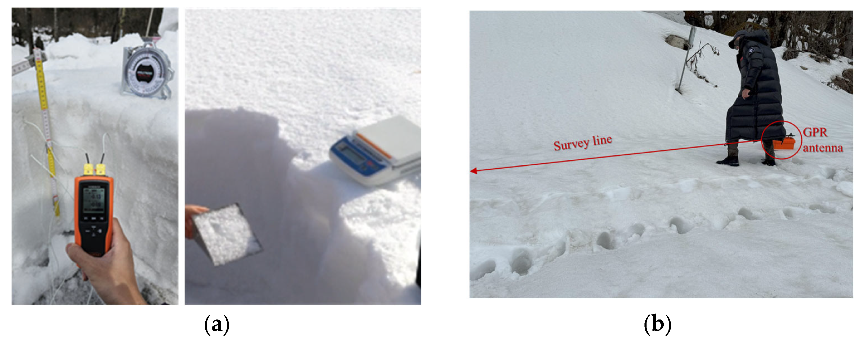 Remotesensing 17 03698 g004